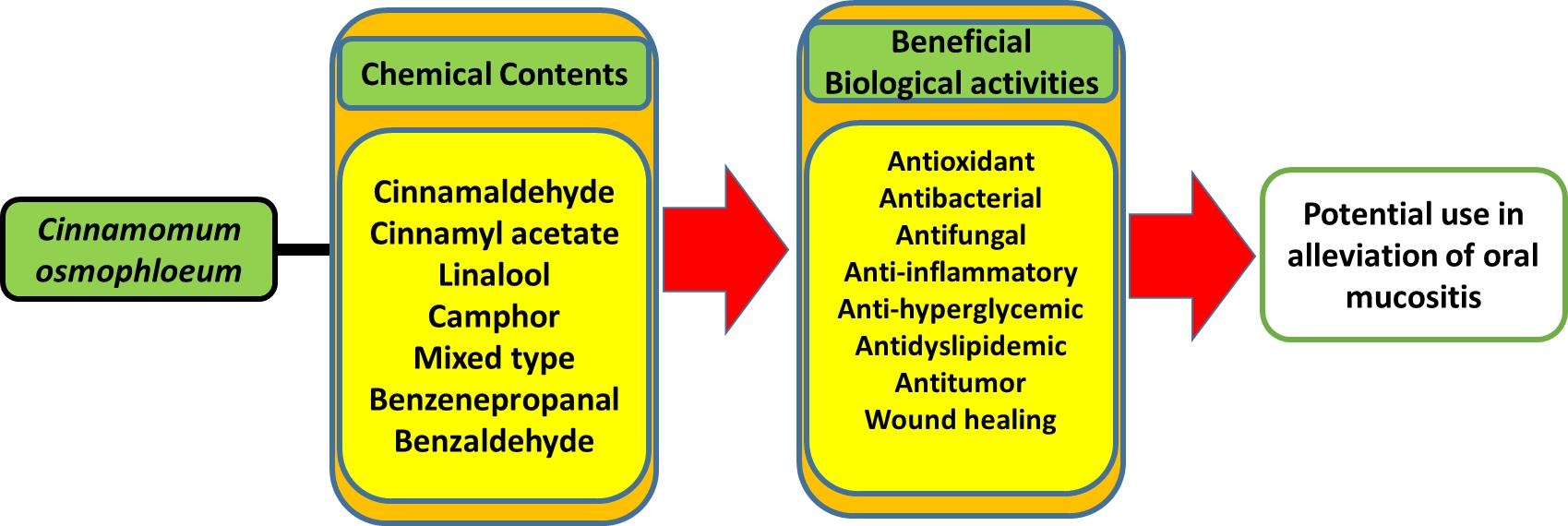 Biomedicines Free Full Text Beneficial Biological Activities Of Cinnamomum Osmophloeum And Its Potential Use In The Alleviation Of Oral Mucositis A Systematic Review Html