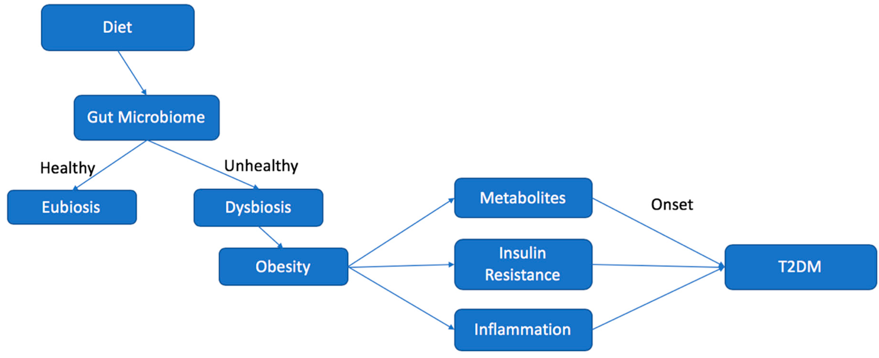 Biomedicines 08 00008 g002