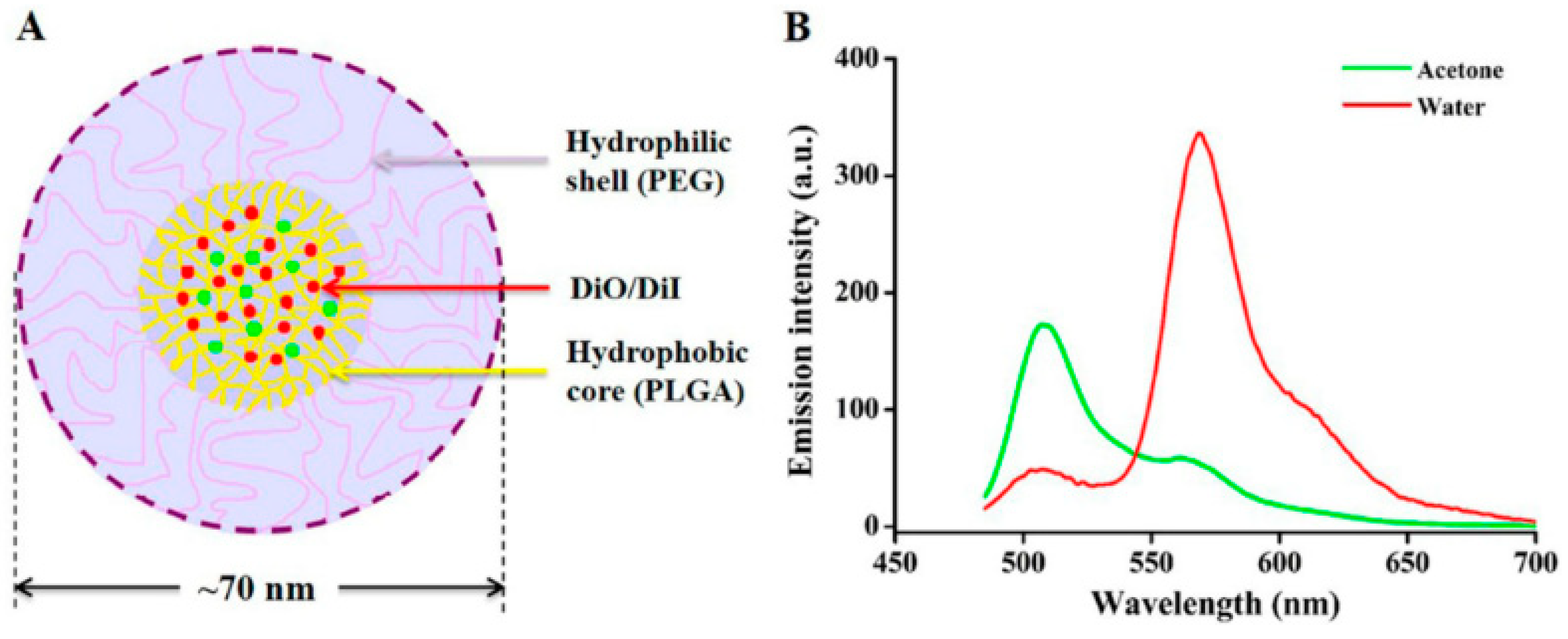 Biomedicines 08 00013 g003