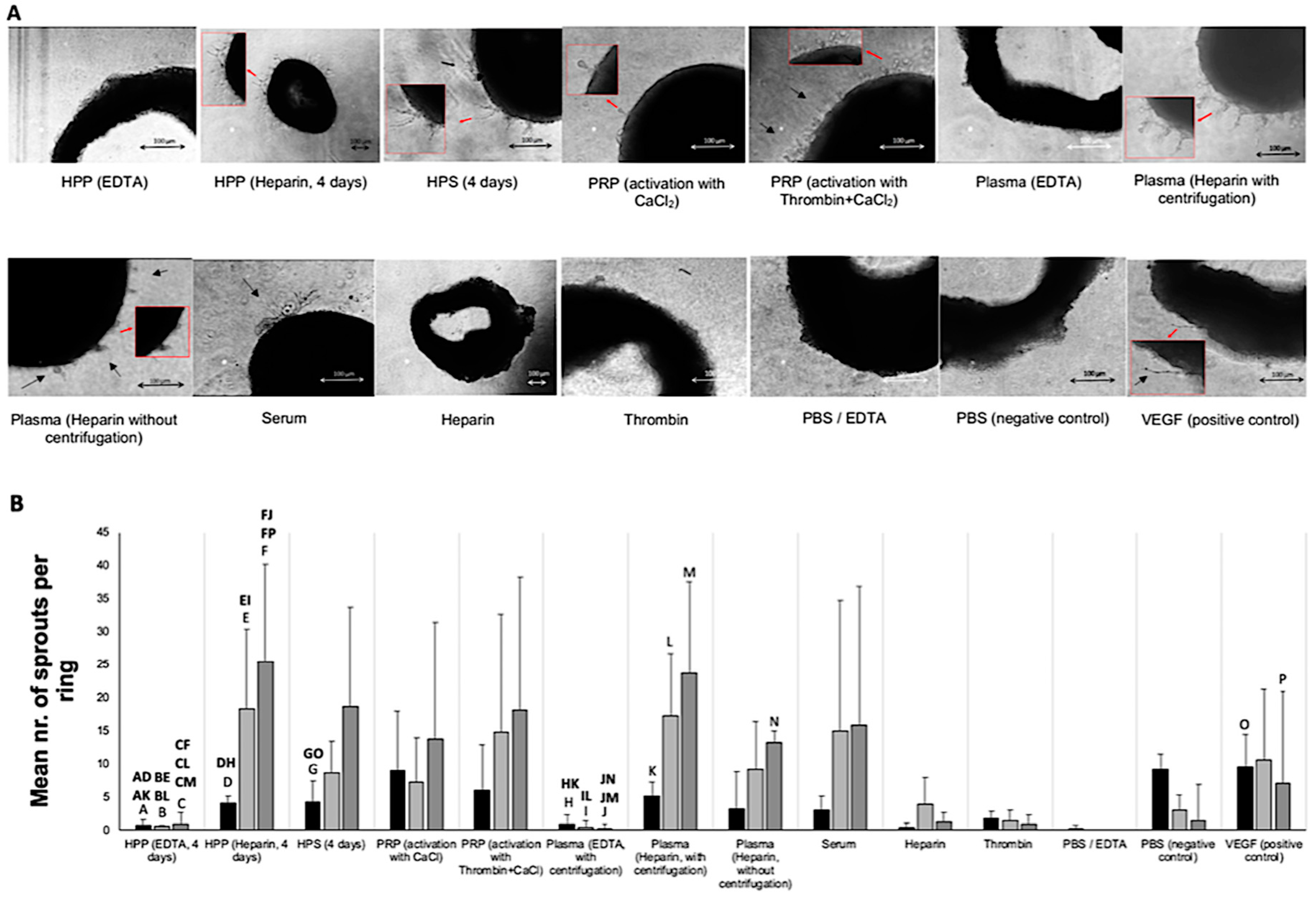 Biomedicines 08 00016 g005a Biomedicines 08 00016 g005a