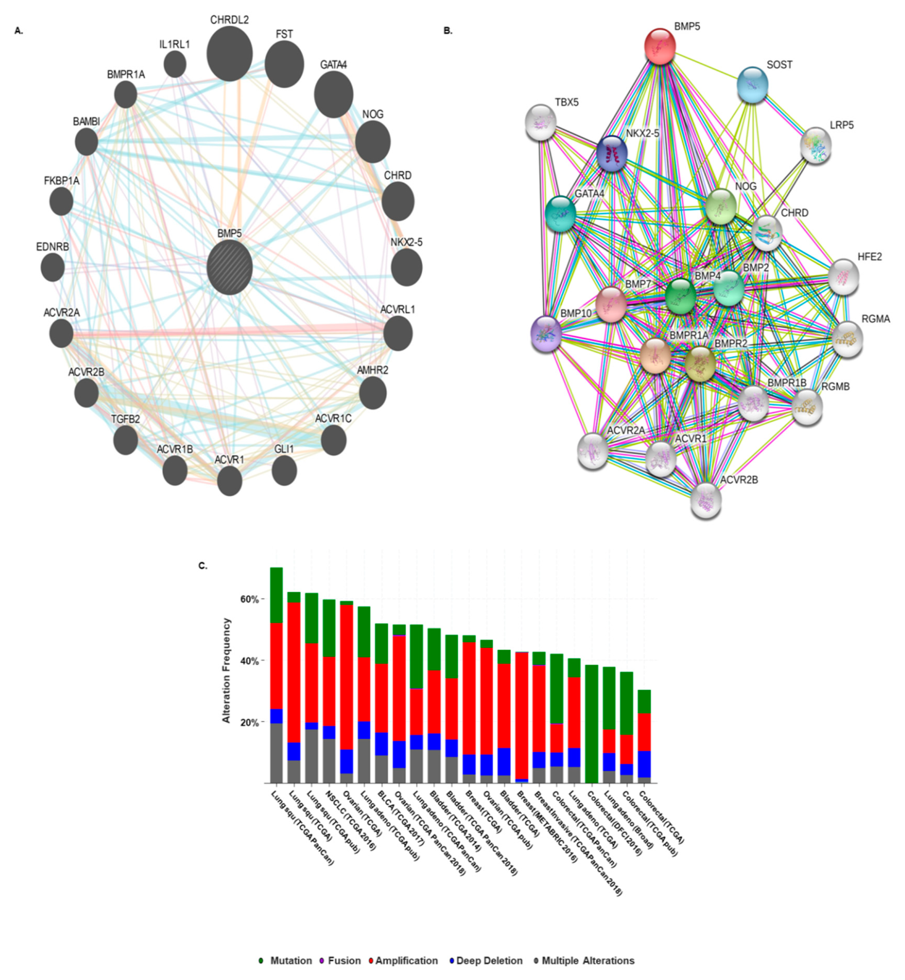 Biomedicines 08 00019 g006 Biomedicines 08 00019 g006