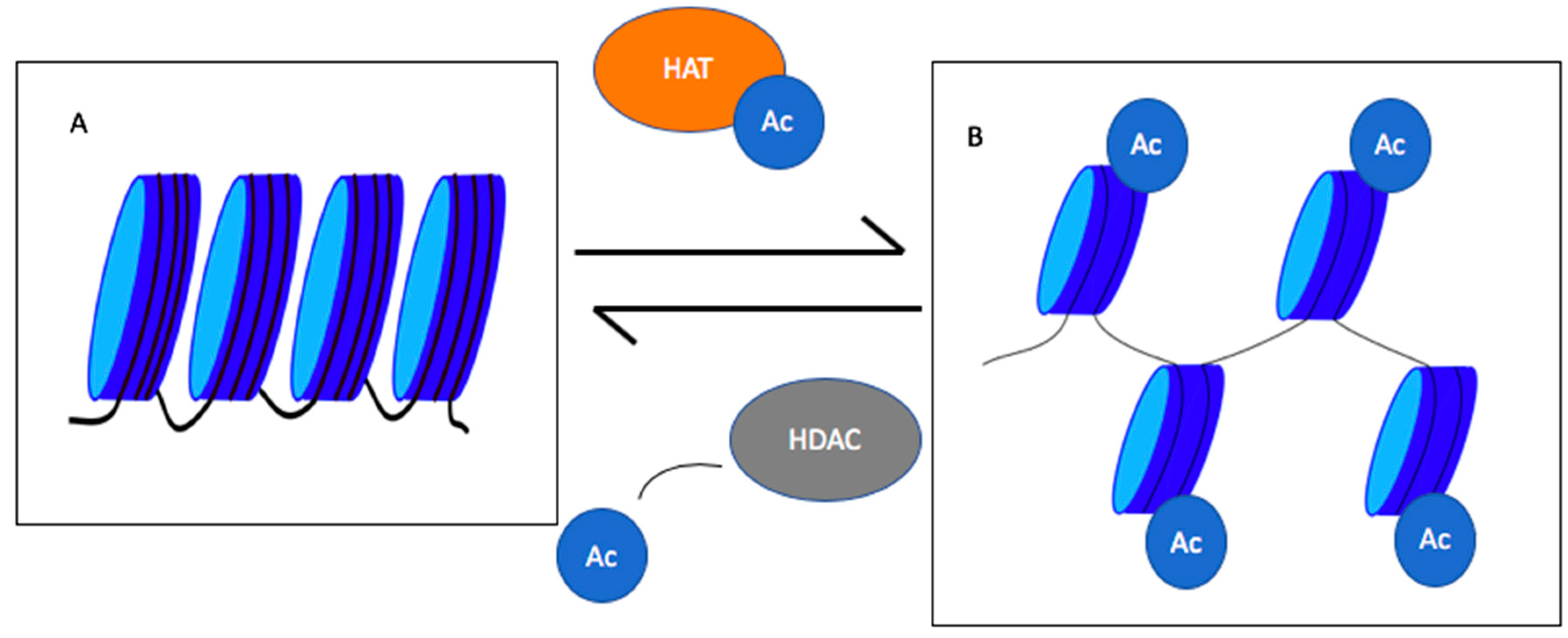Biomedicines 08 00022 g001 Biomedicines 08 00022 g001