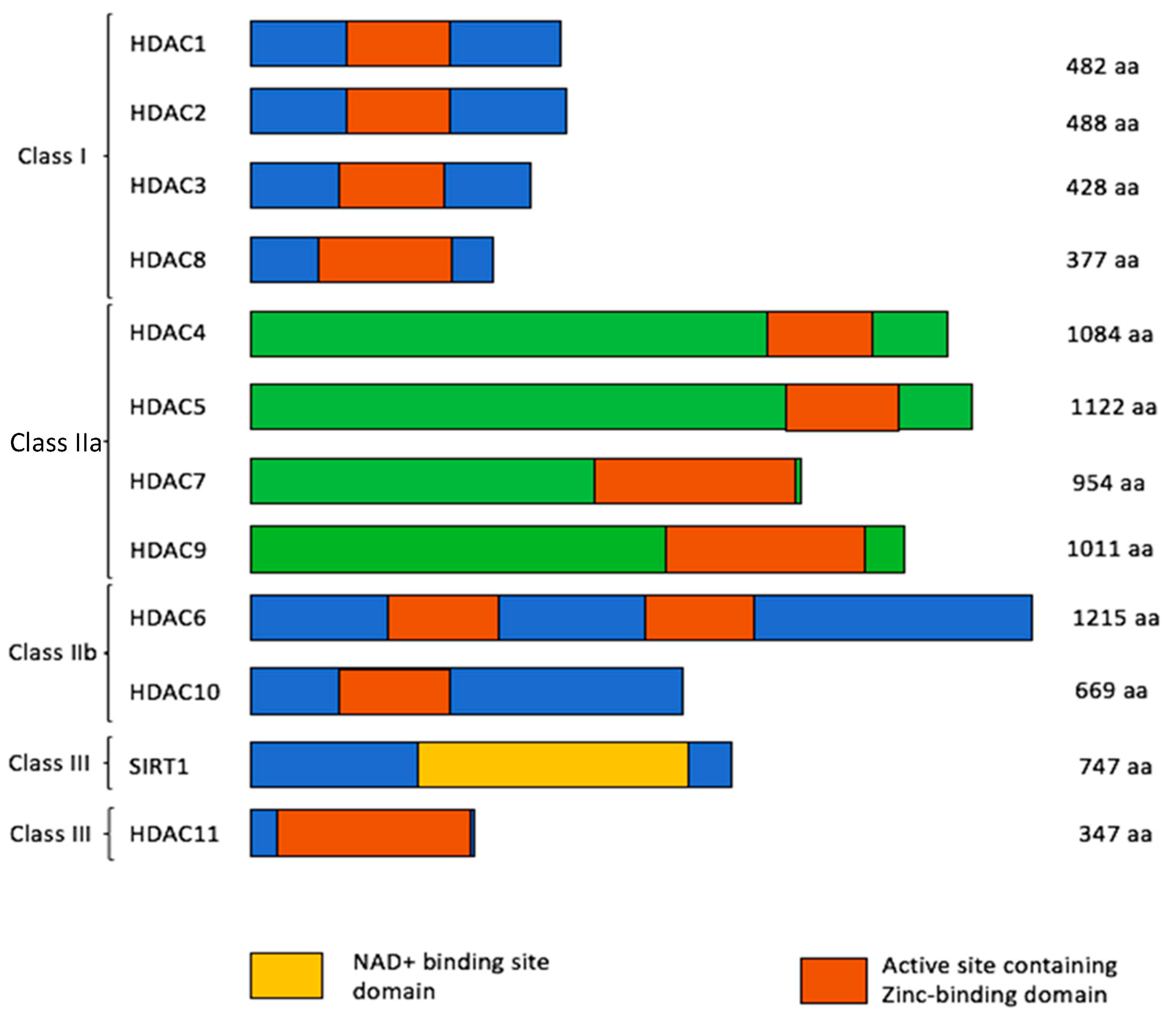 Biomedicines 08 00022 g002 Biomedicines 08 00022 g002