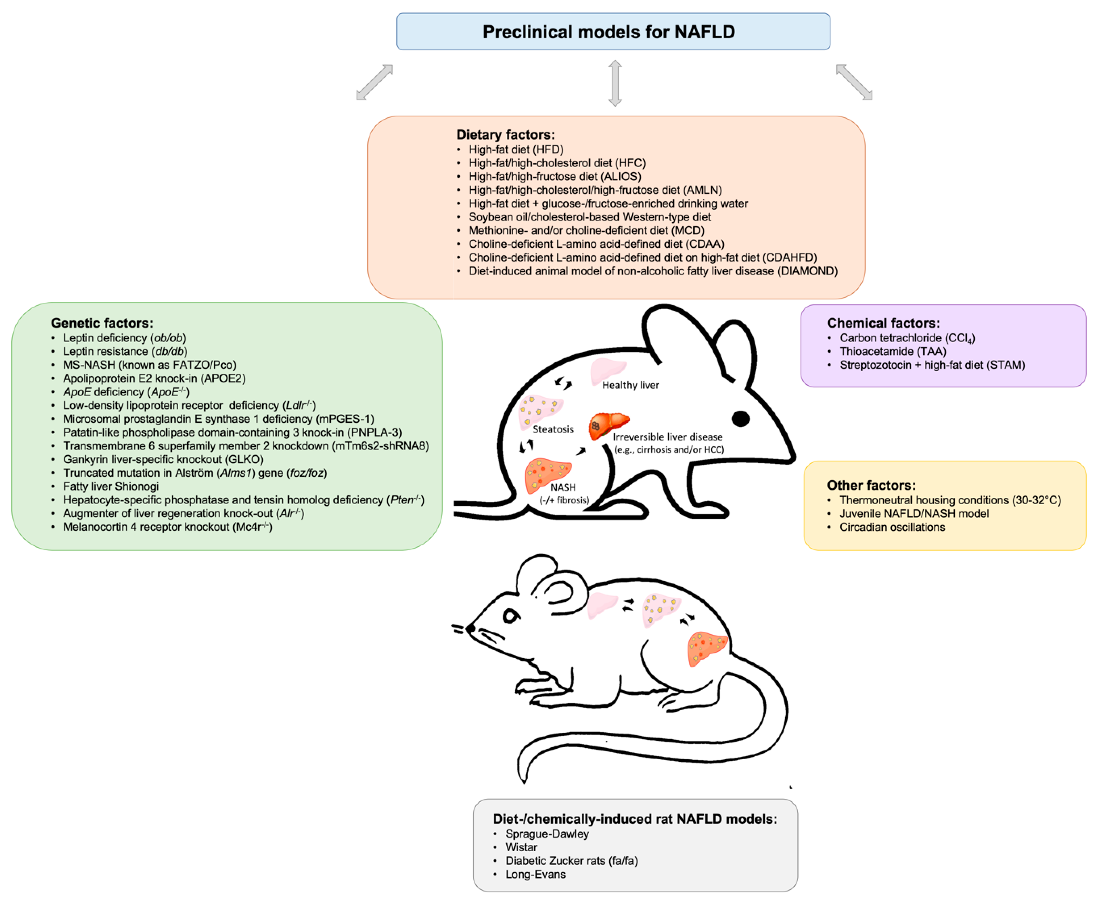 Biomedicines Free FullText NAFLD Preclinical Models More than a