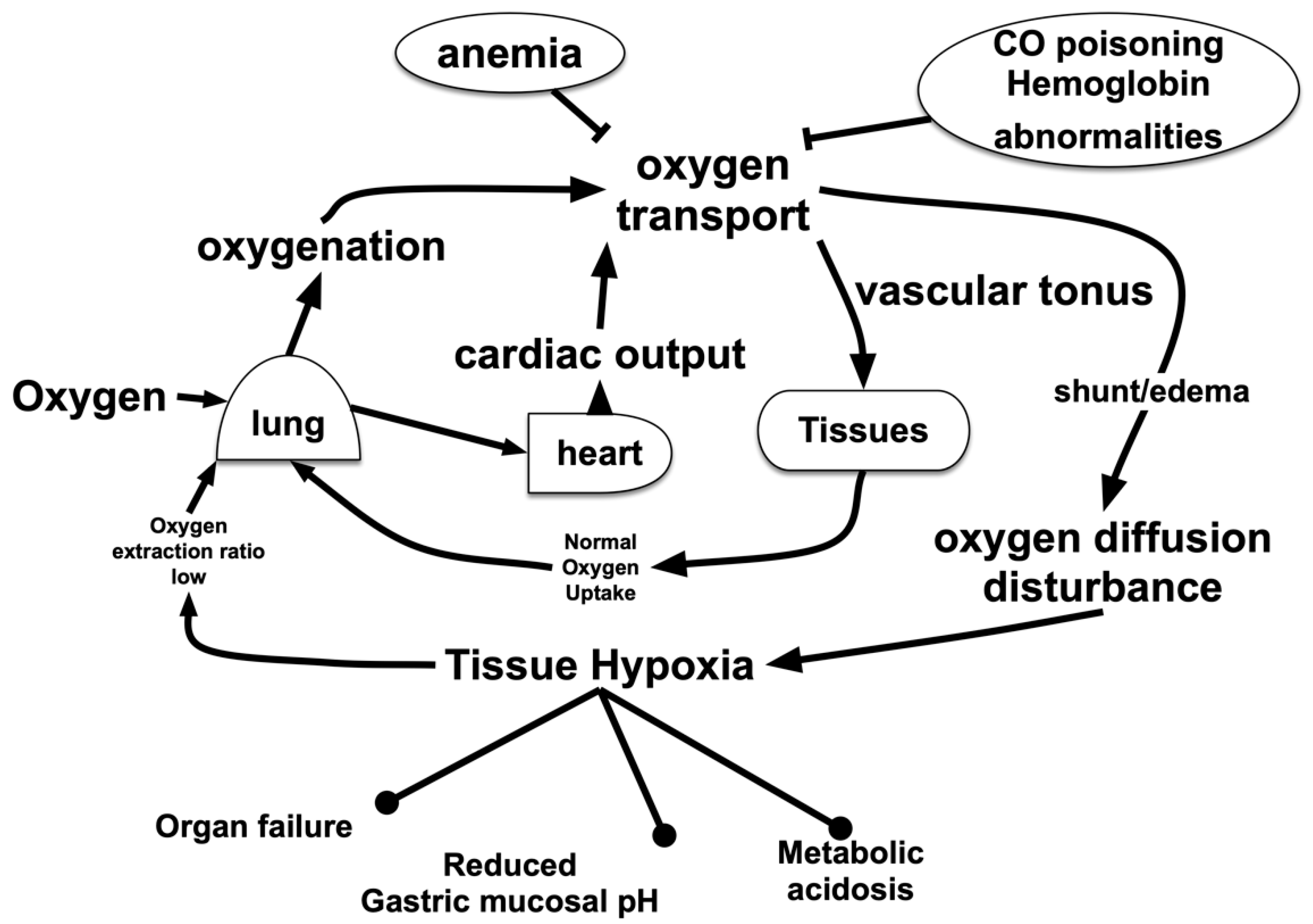 Biomedicines 08 00032 g001