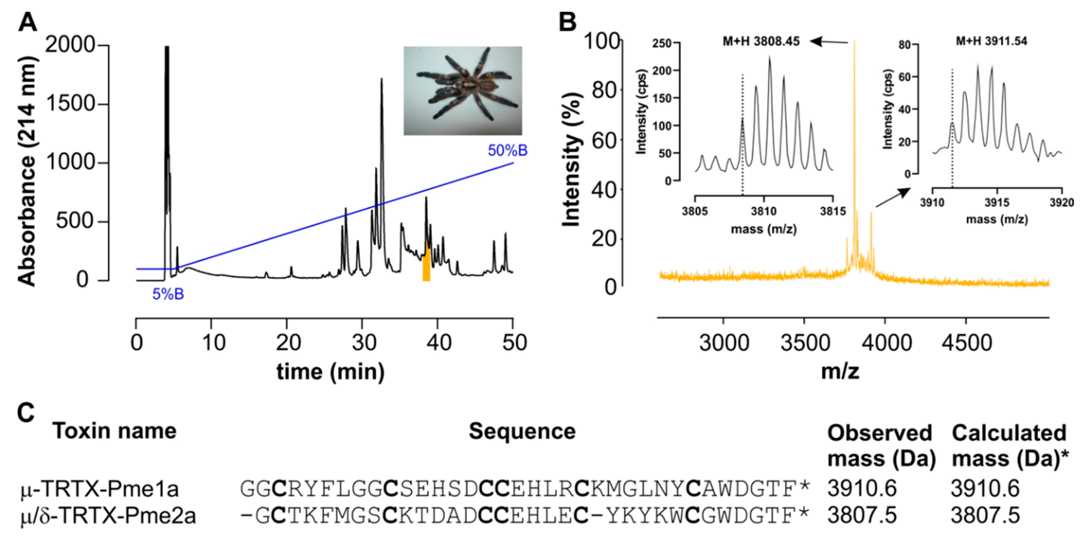 Biomedicines 08 00037 g001 Biomedicines 08 00037 g001