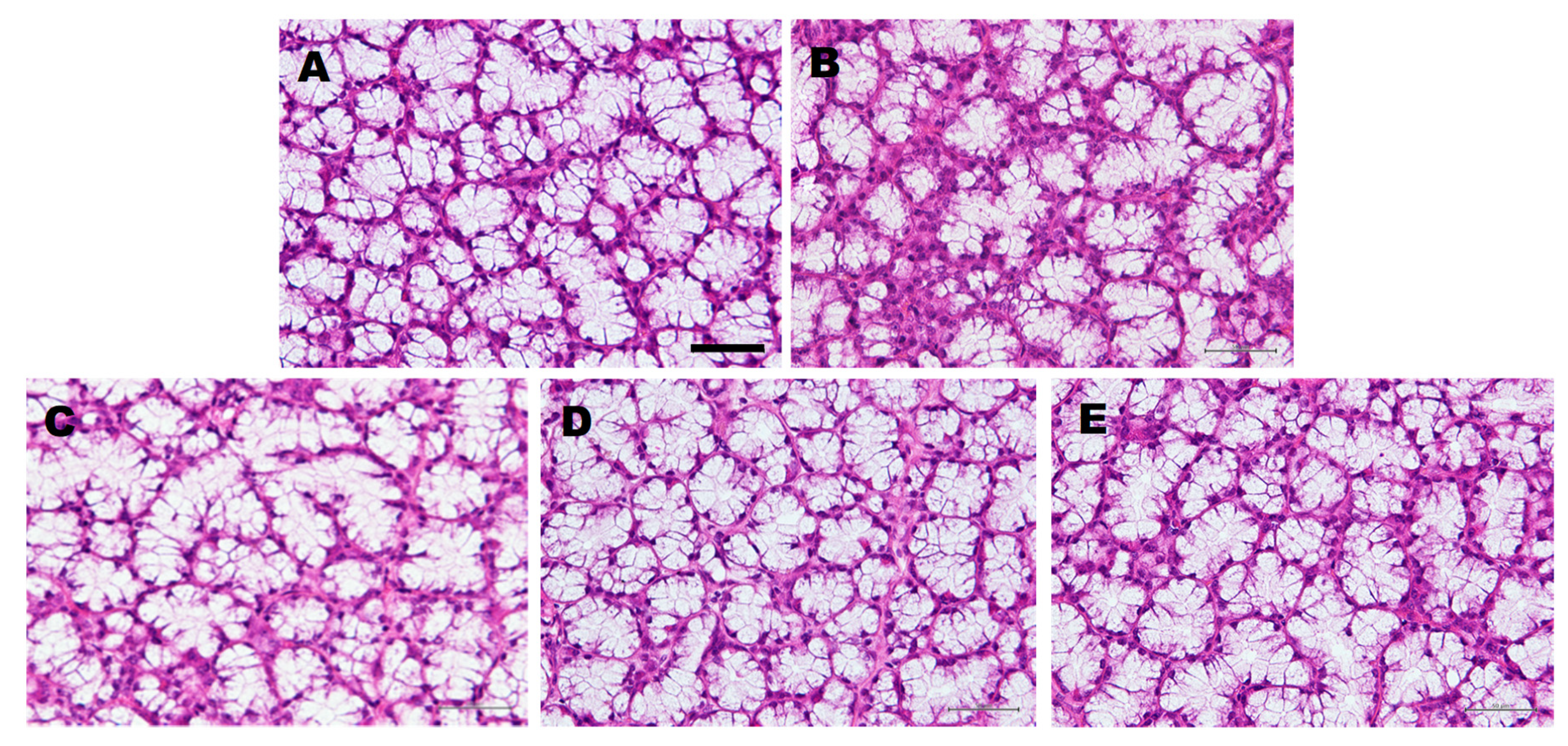 Biomedicines 08 00038 g001 Biomedicines 08 00038 g001