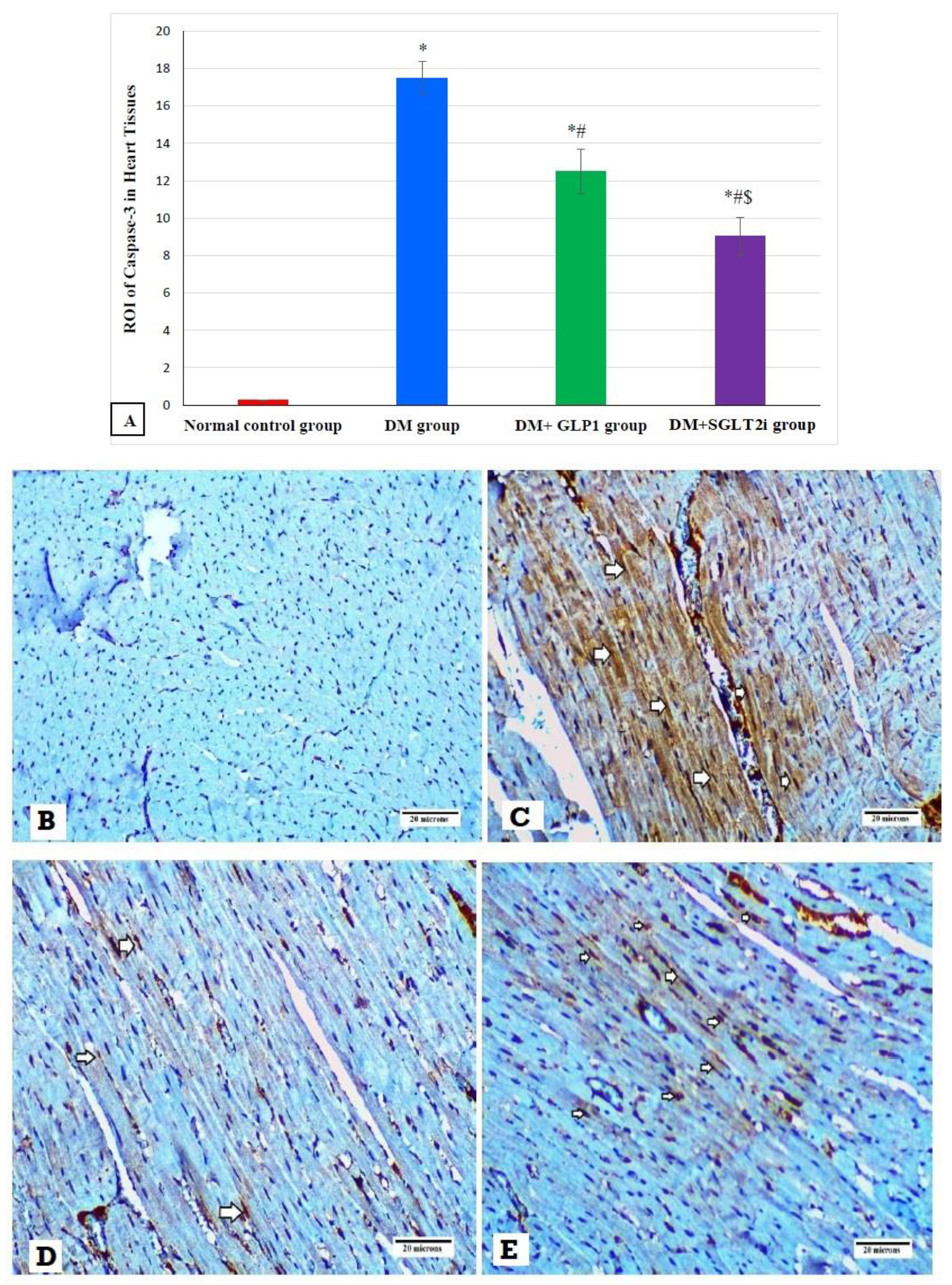 Biomedicines 08 00043 g006 Biomedicines 08 00043 g006