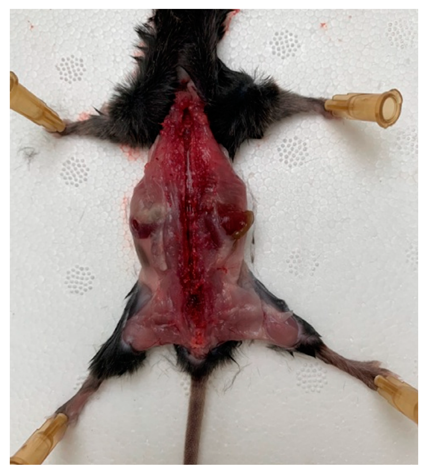 Biomedicines 08 00049 g001