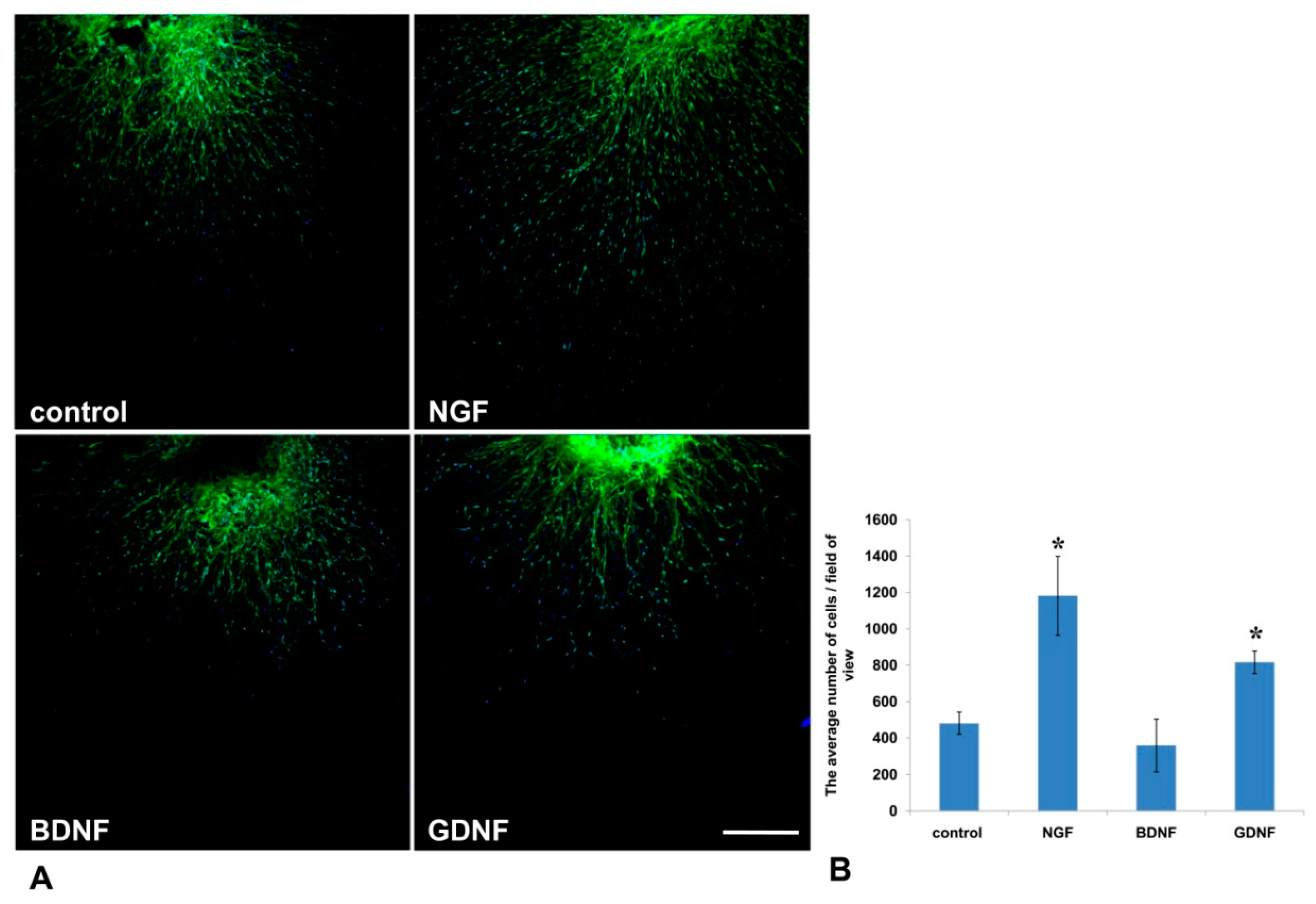 Biomedicines 08 00049 g006