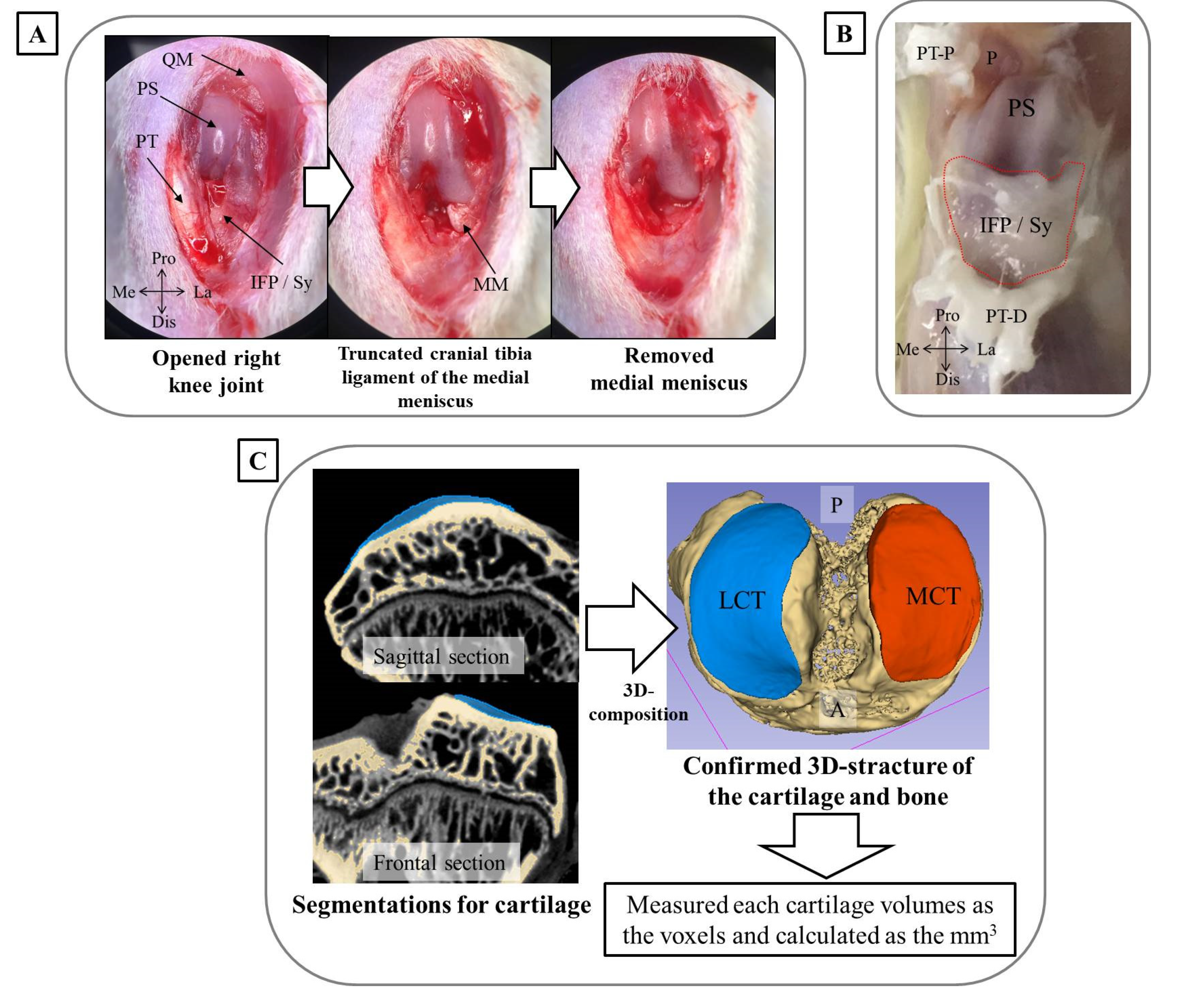 Biomedicines 08 00056 g001