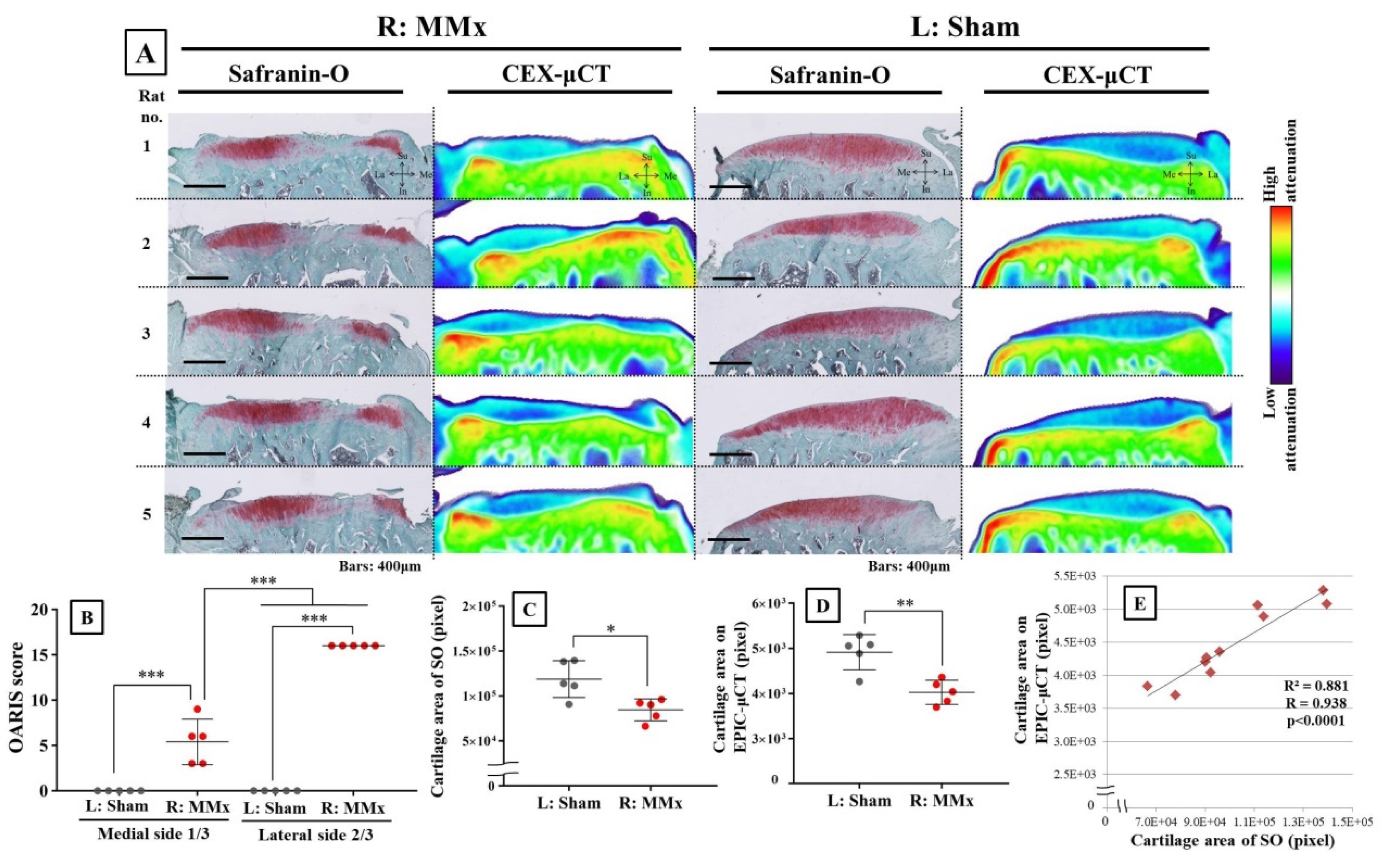 Biomedicines 08 00056 g005