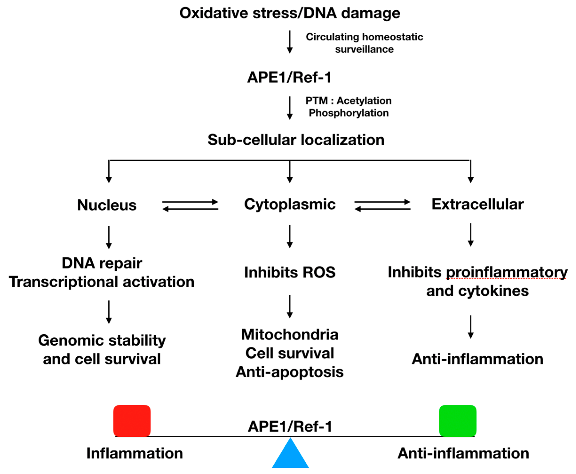 Biomedicines 08 00057 g002 Biomedicines 08 00057 g002