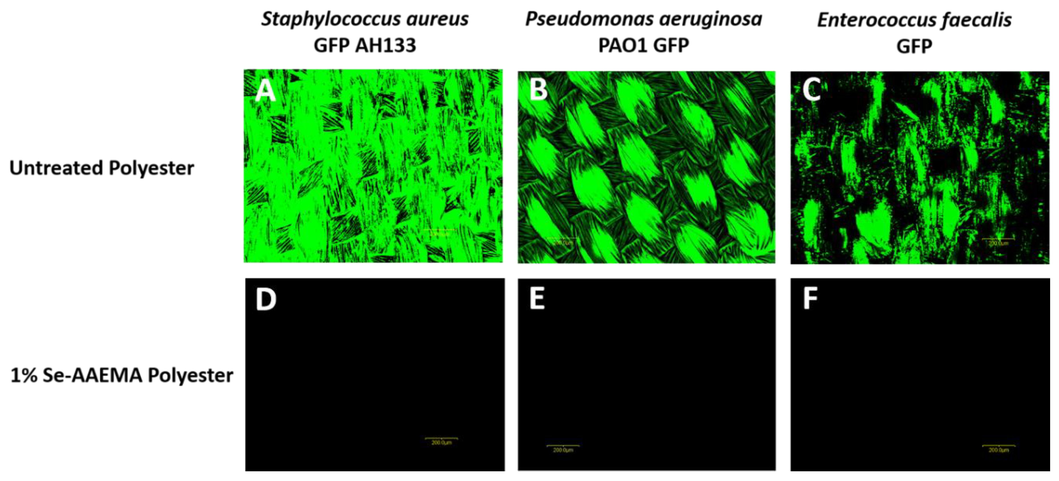 Biomedicines 08 00062 g002