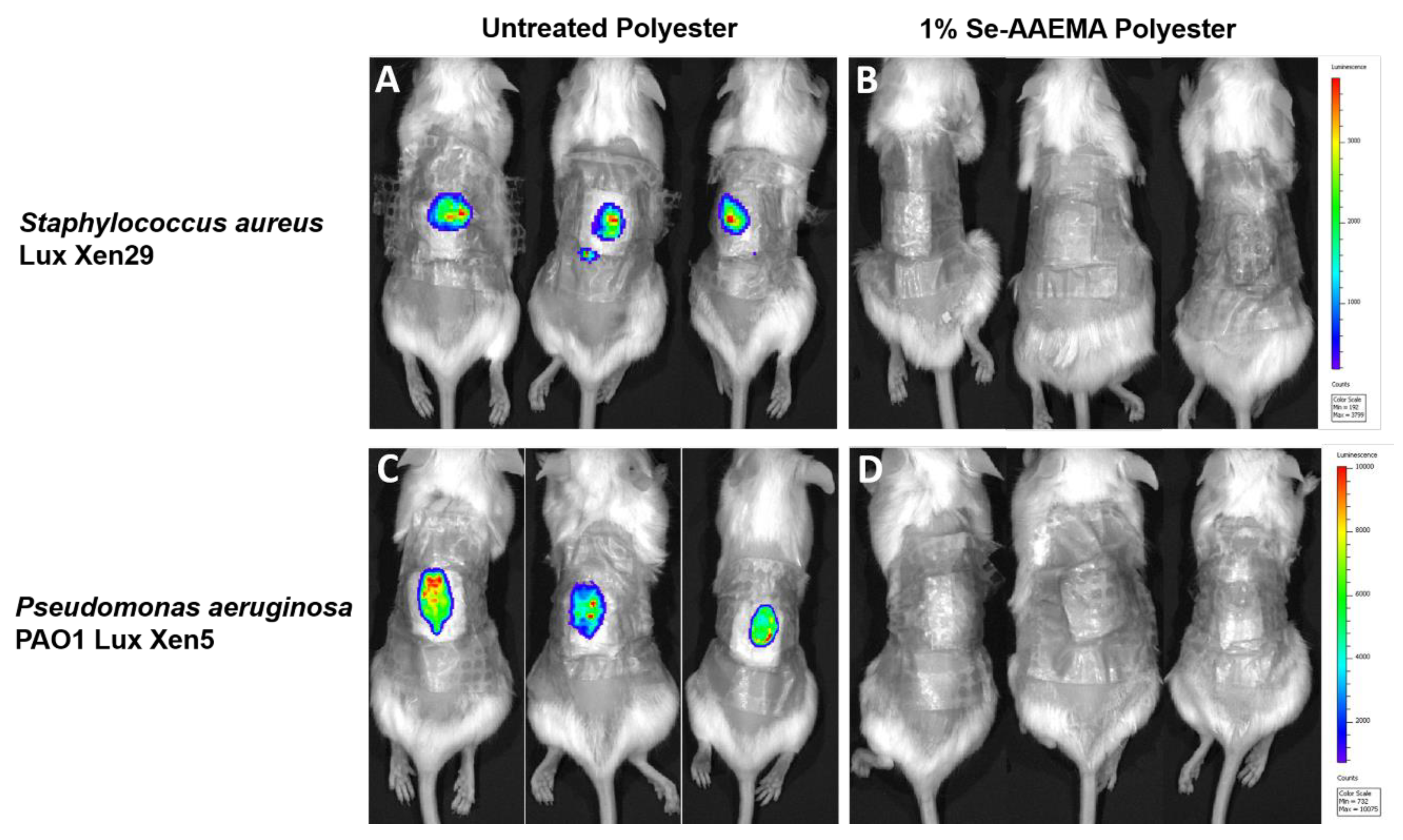 Biomedicines 08 00062 g006
