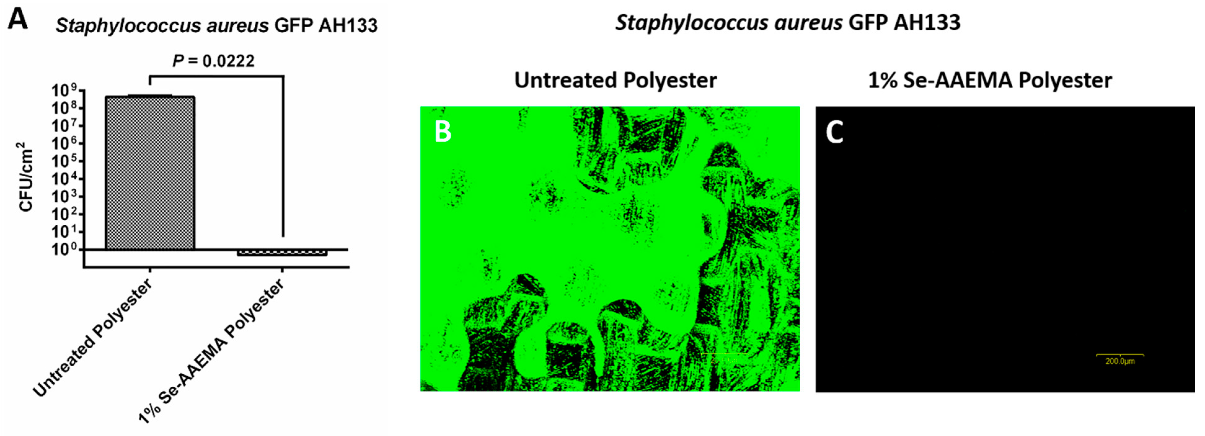 Biomedicines 08 00062 g007