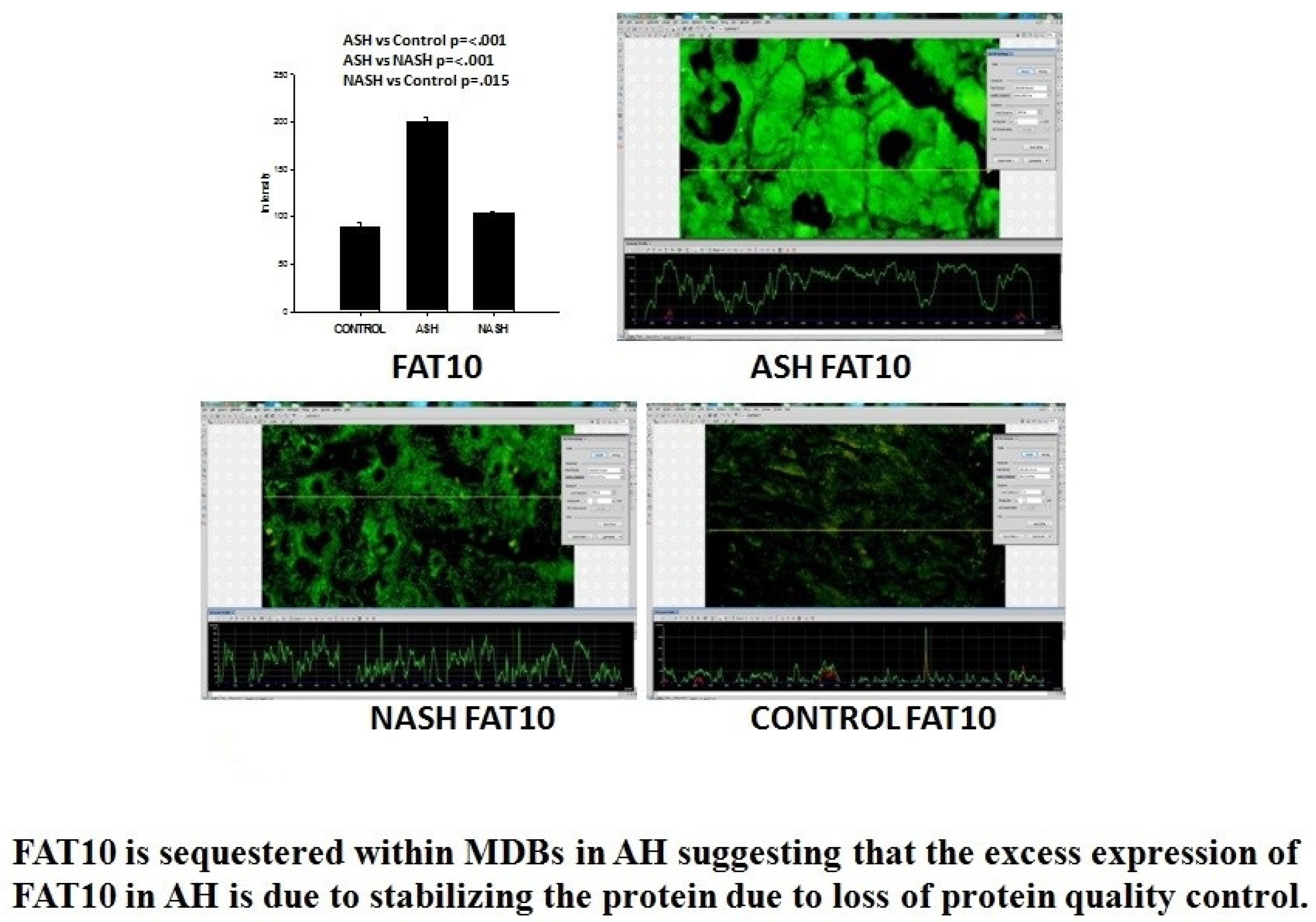 Biomedicines 08 00063 g005 Biomedicines 08 00063 g005