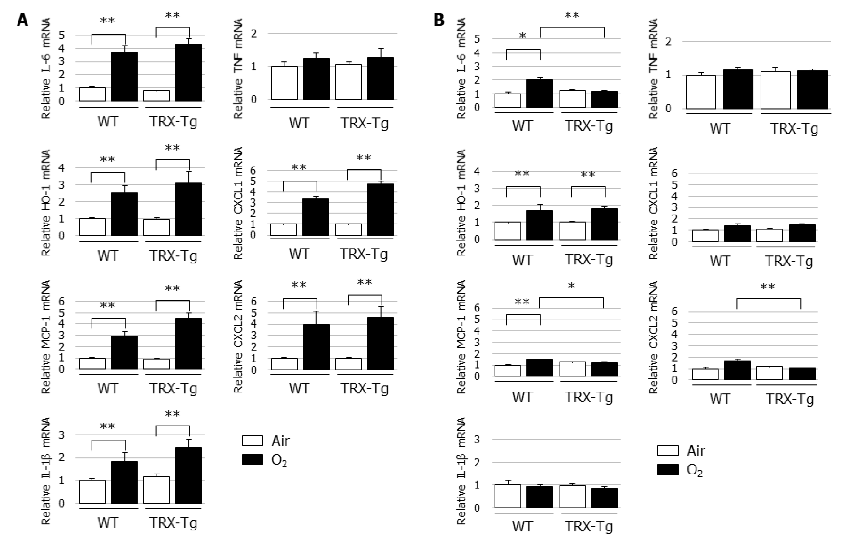 Biomedicines 08 00066 g004 Biomedicines 08 00066 g004