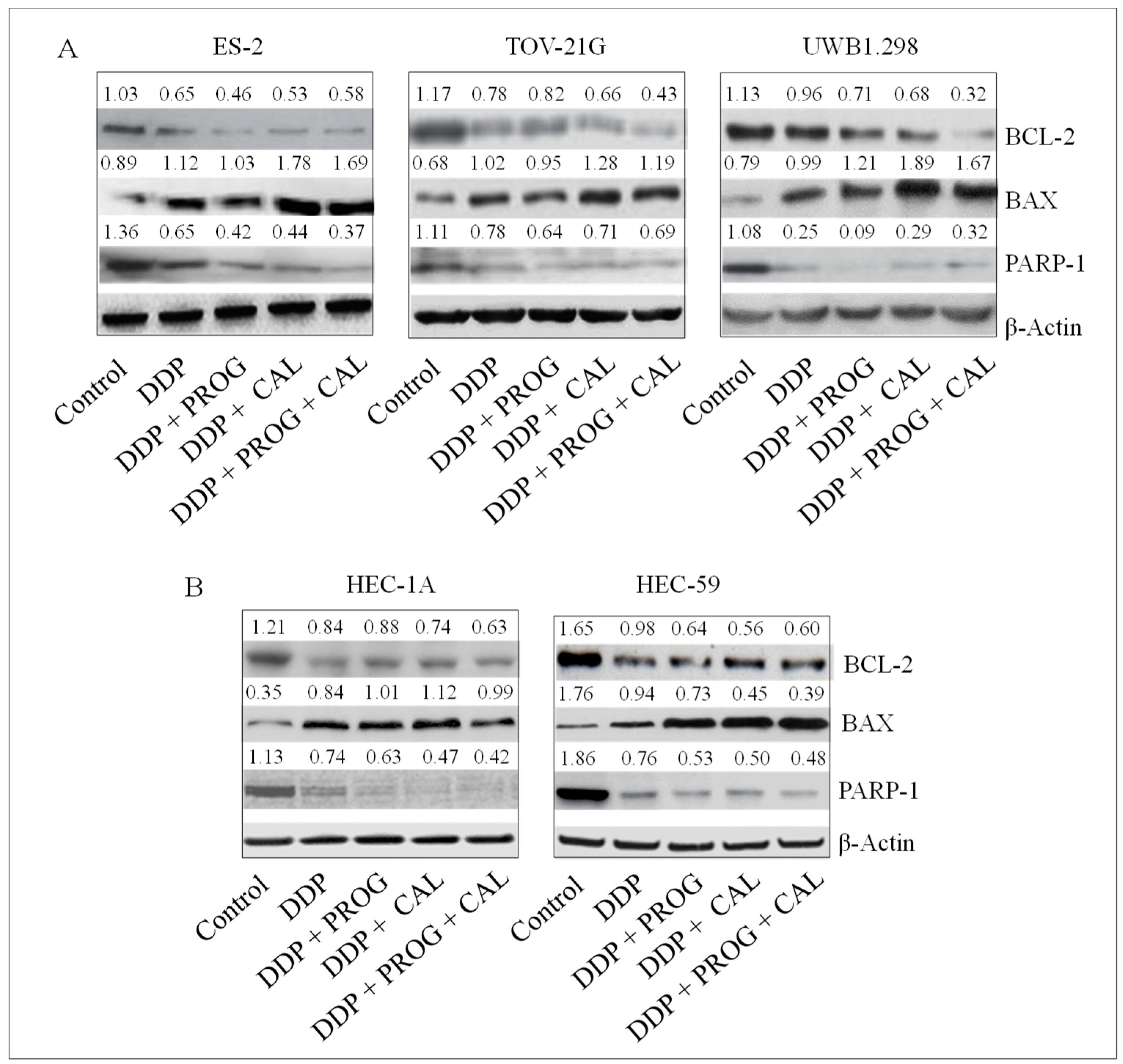 Biomedicines 08 00073 g003 Biomedicines 08 00073 g003