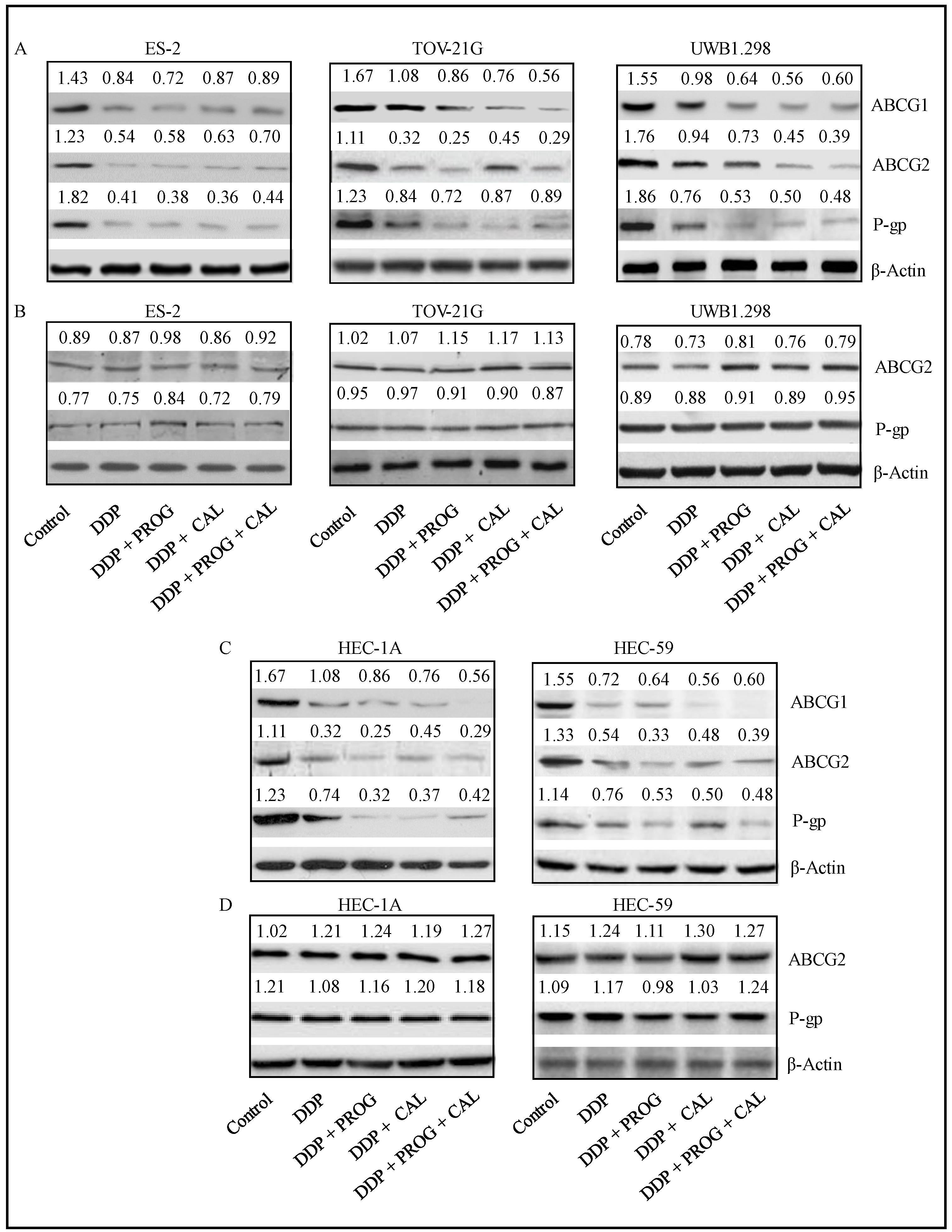 Biomedicines 08 00073 g005 Biomedicines 08 00073 g005