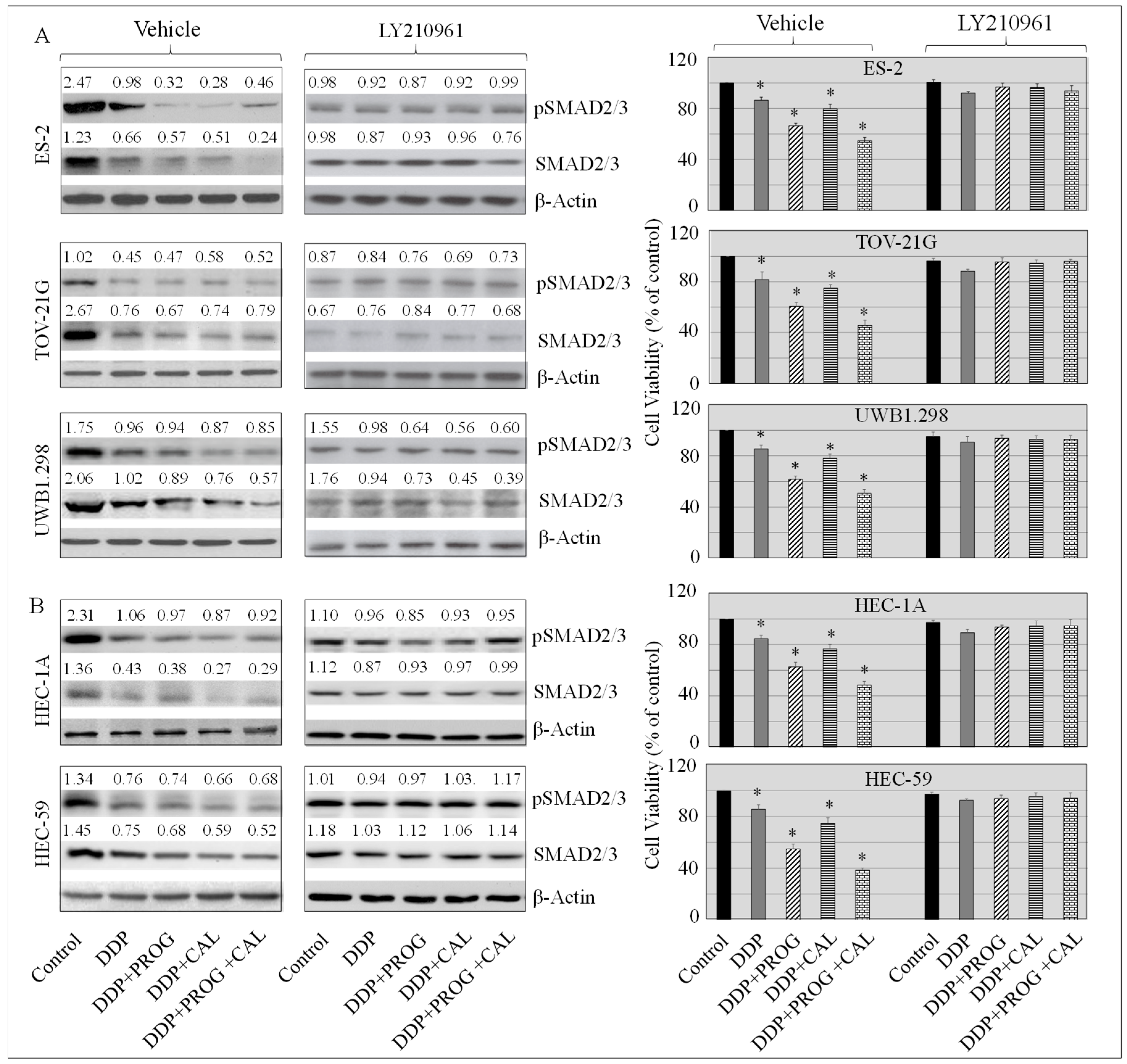 Biomedicines 08 00073 g006 Biomedicines 08 00073 g006
