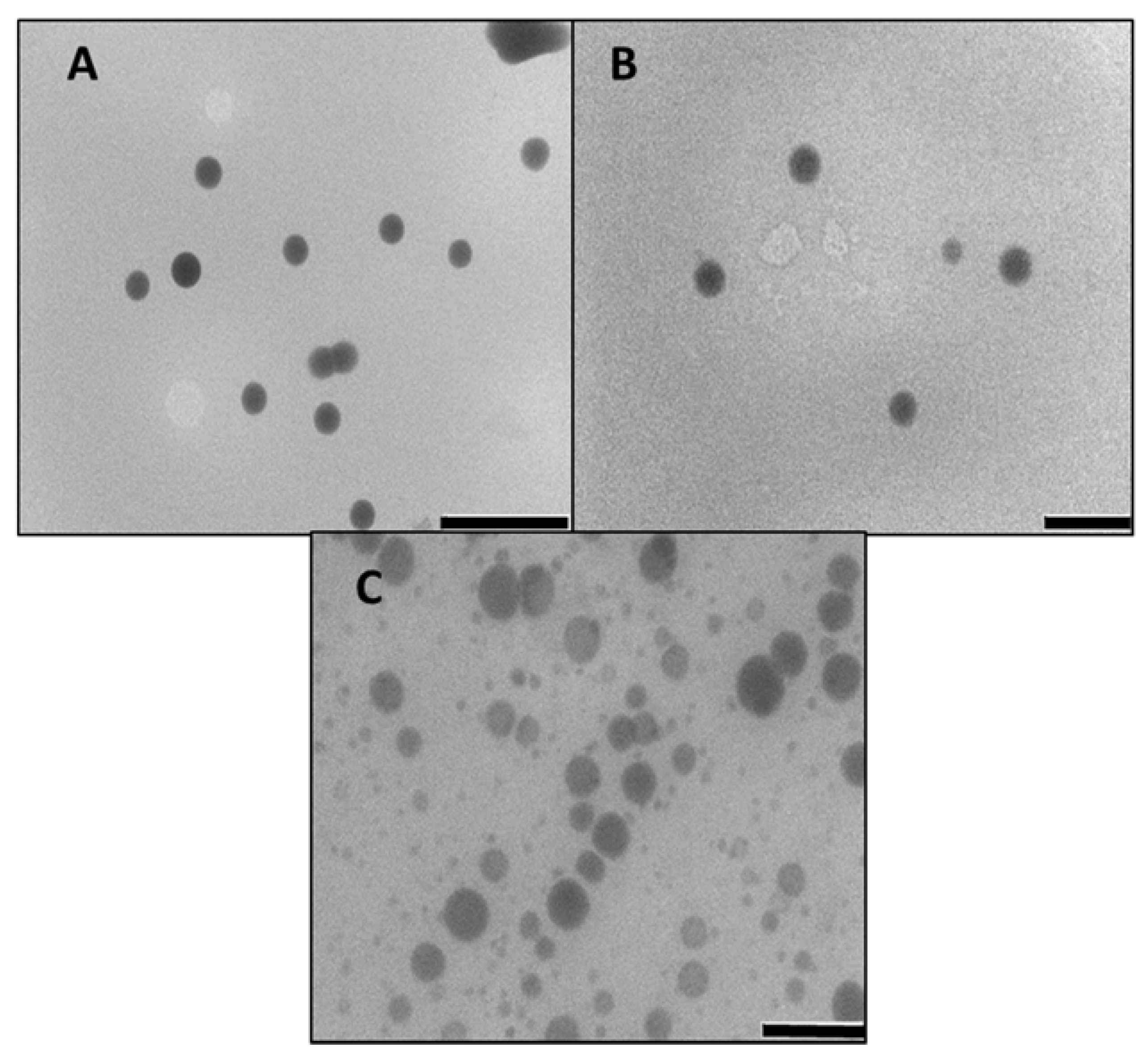 Biomedicines 08 00076 g001 Biomedicines 08 00076 g001