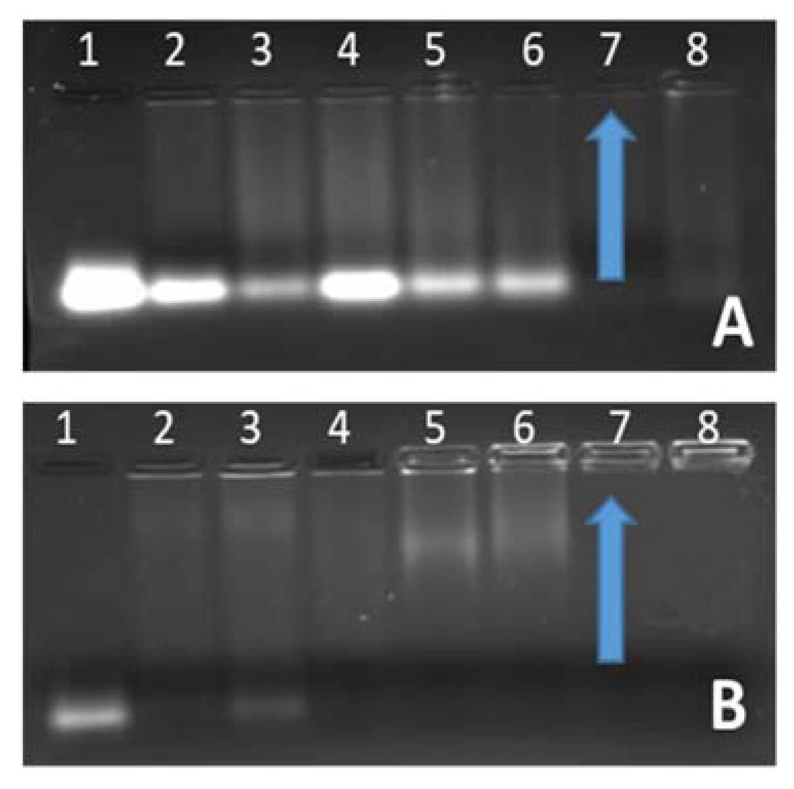 Biomedicines 08 00076 g003 Biomedicines 08 00076 g003