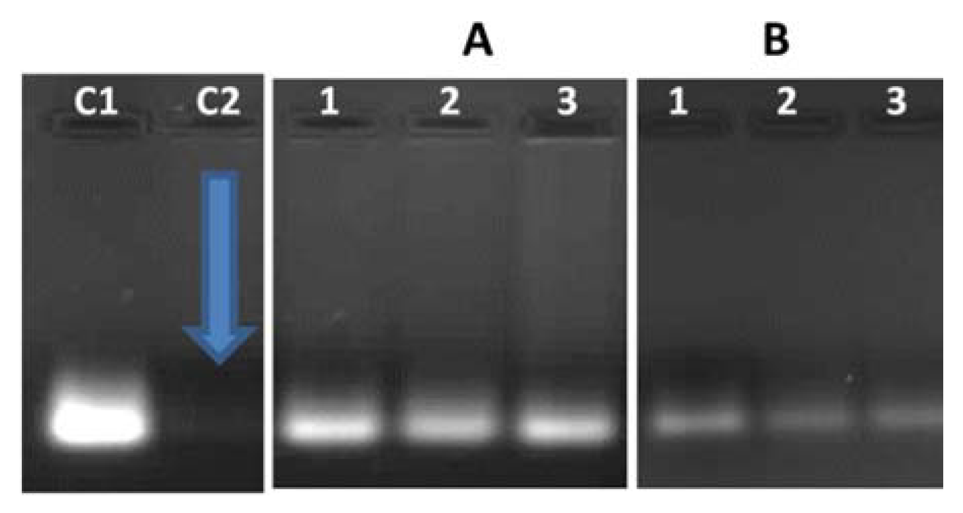 Biomedicines 08 00076 g005 Biomedicines 08 00076 g005