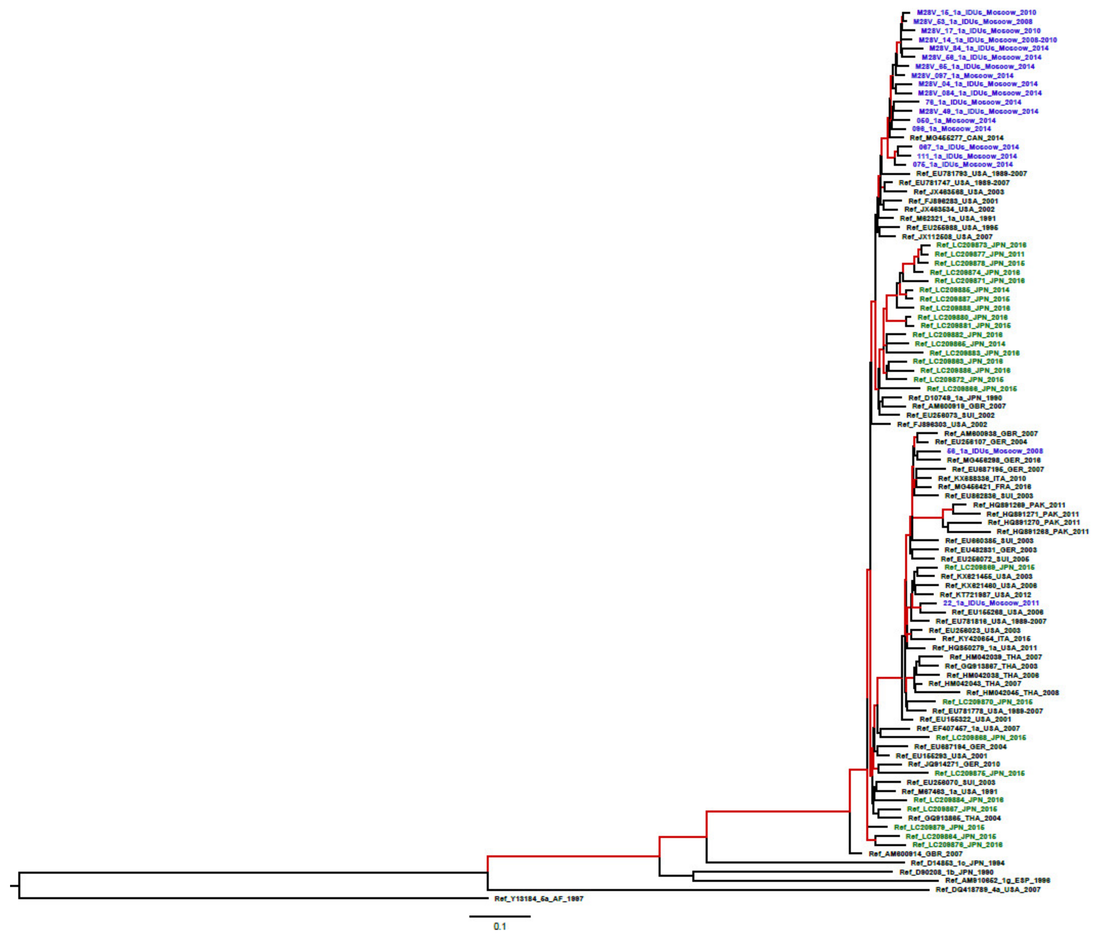 Biomedicines 08 00080 g002