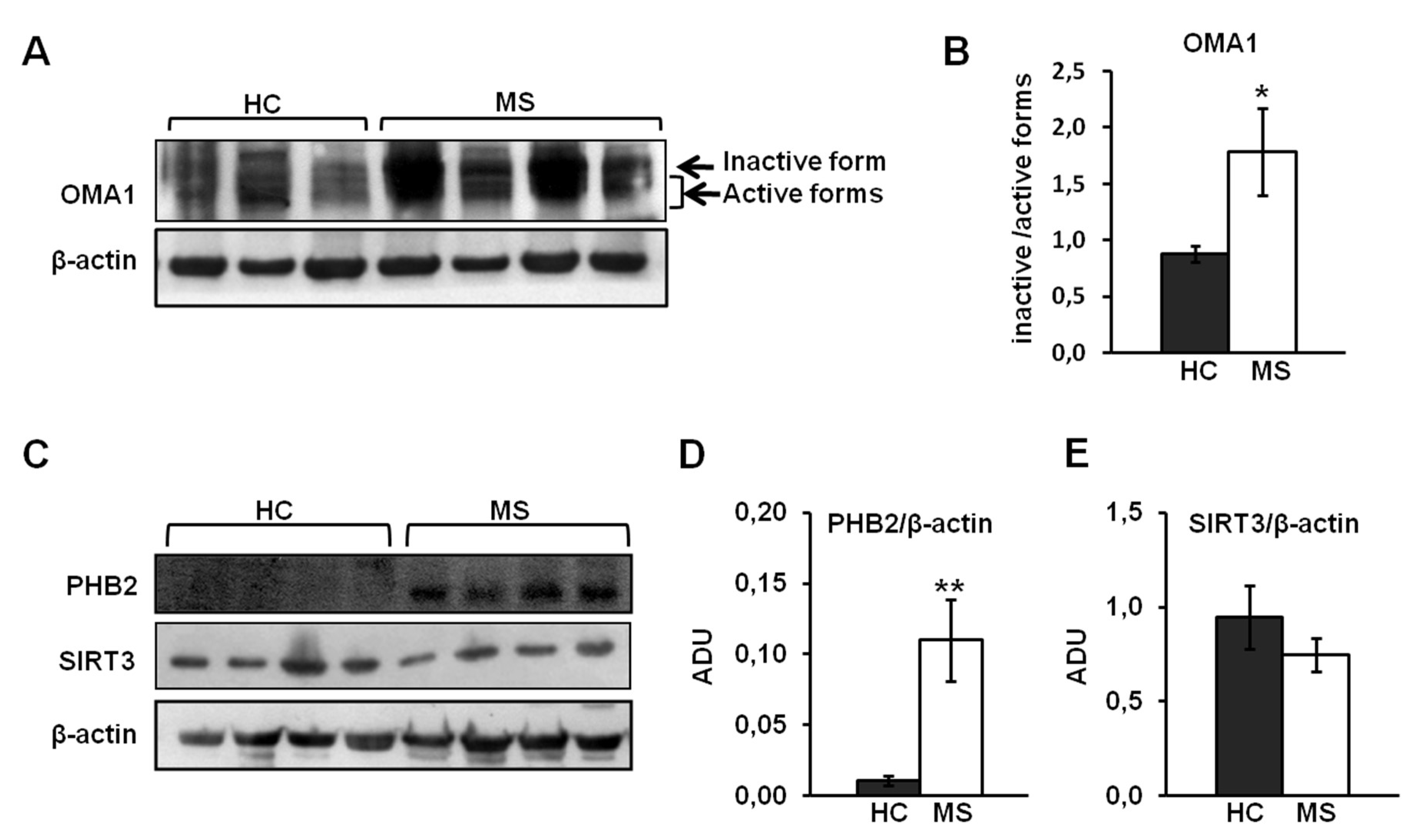 Biomedicines 08 00085 g003