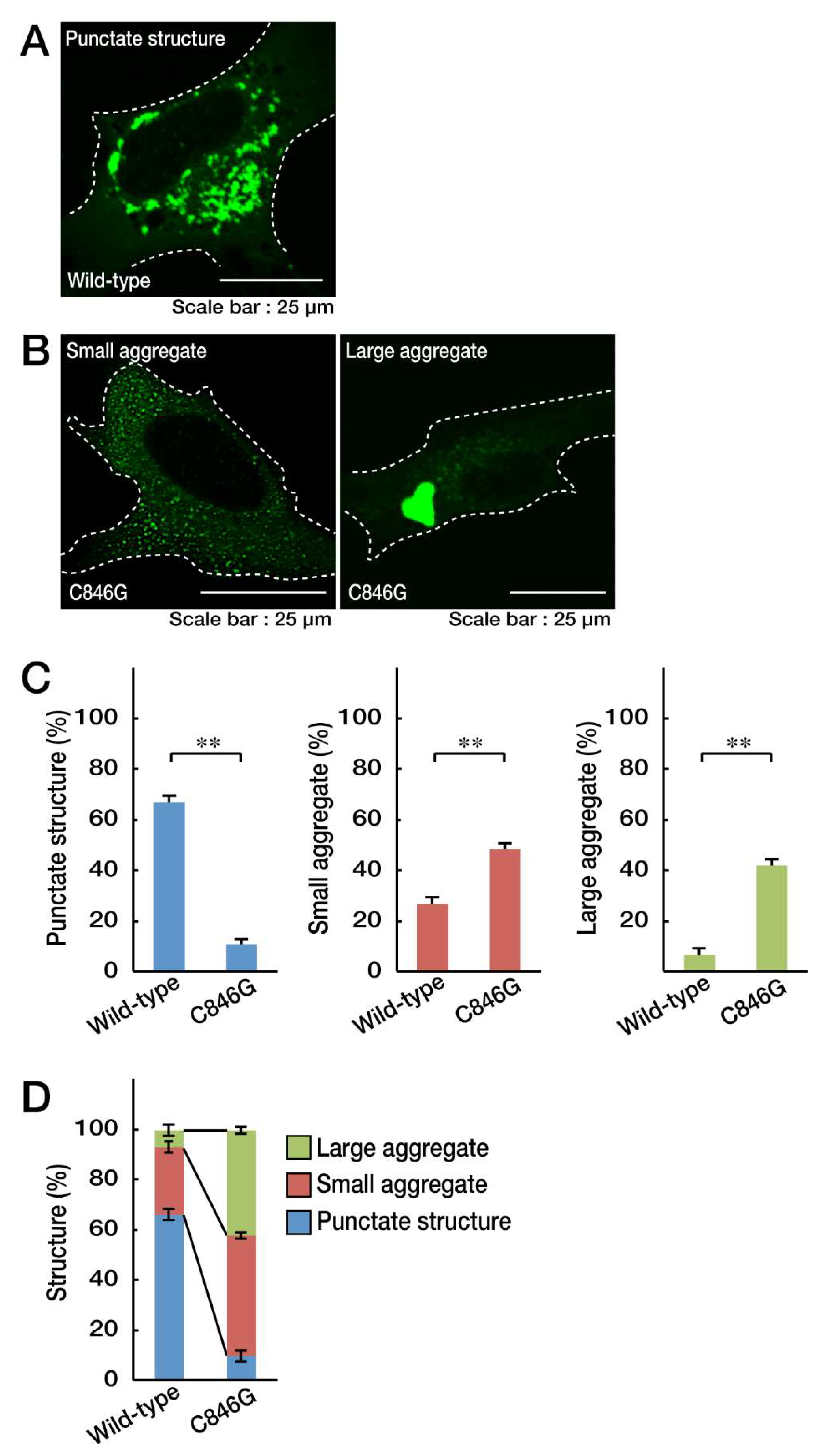 Biomedicines 08 00089 g001 Biomedicines 08 00089 g001