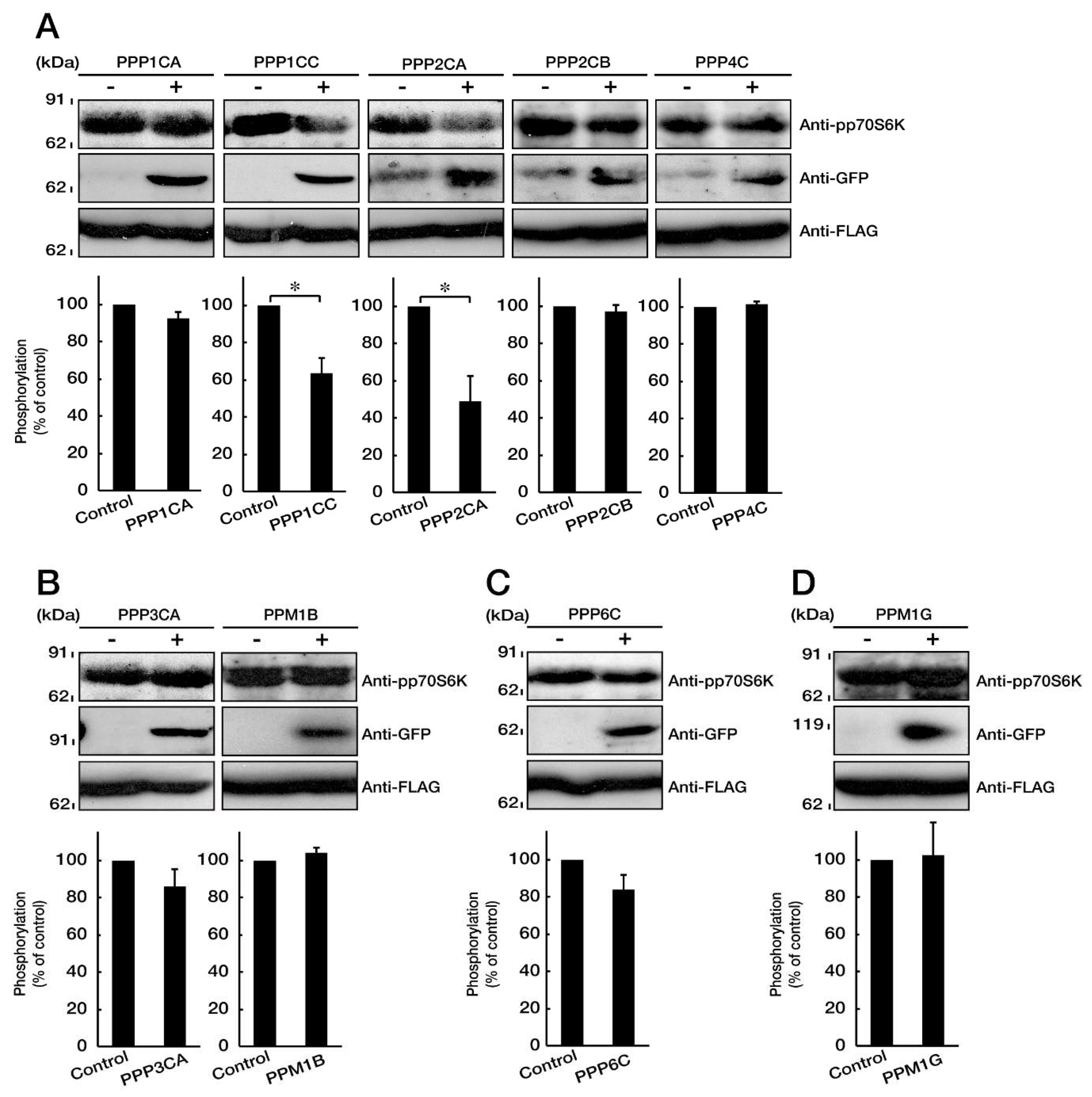 Biomedicines 08 00089 g006 Biomedicines 08 00089 g006