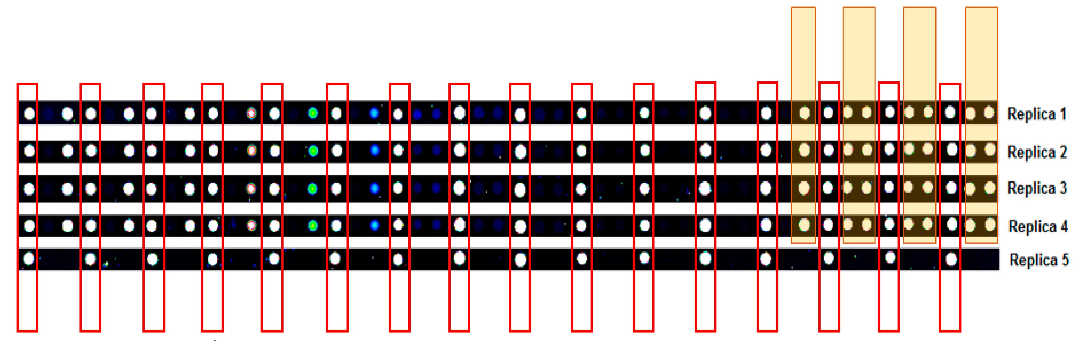 Biomedicines 08 00097 g004
