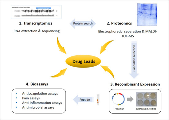 testosterone and prostate cancer mayo clinic méz aloe- val a prosztatitisből