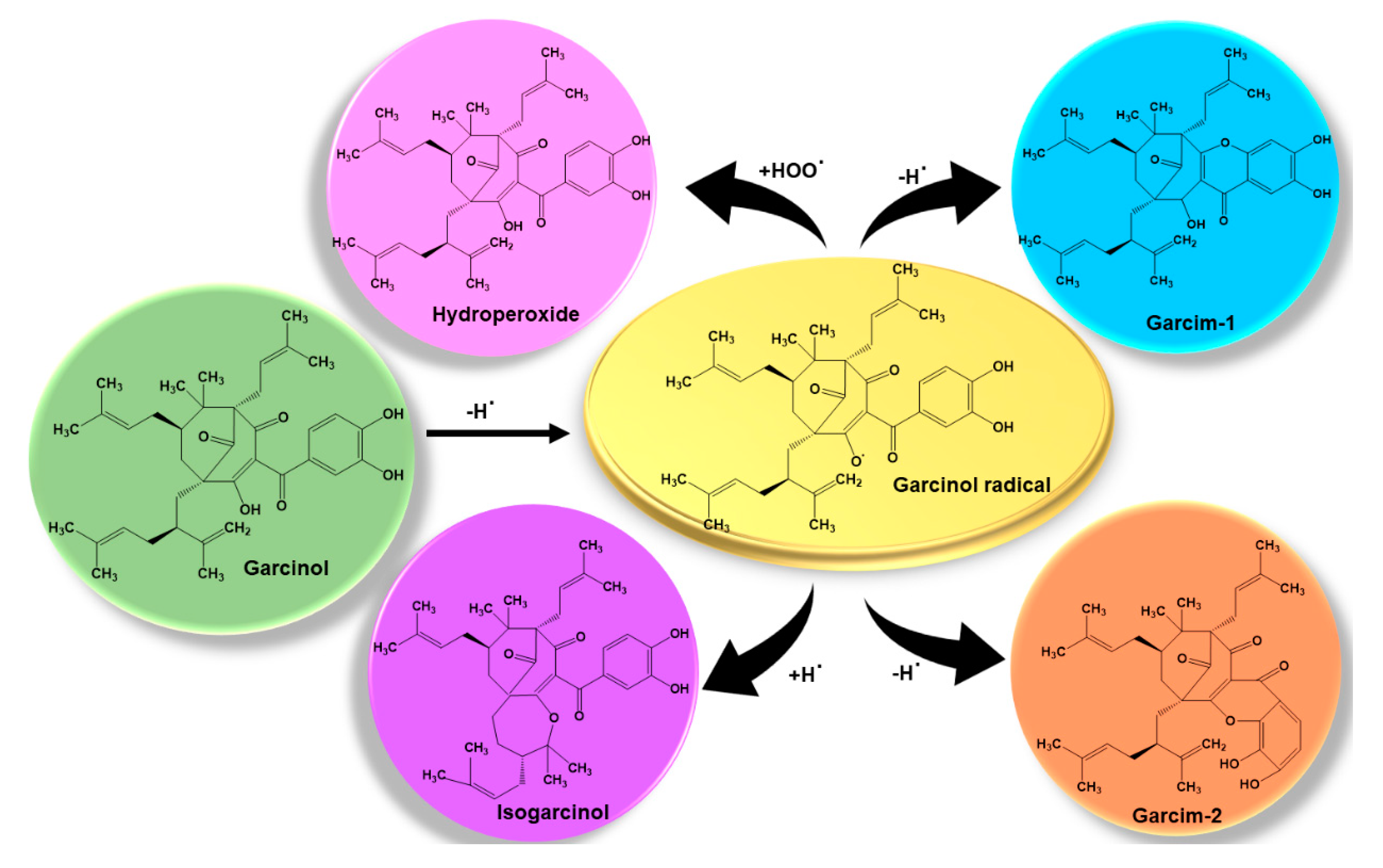 Biomedicines 08 00103 g004 Biomedicines 08 00103 g004