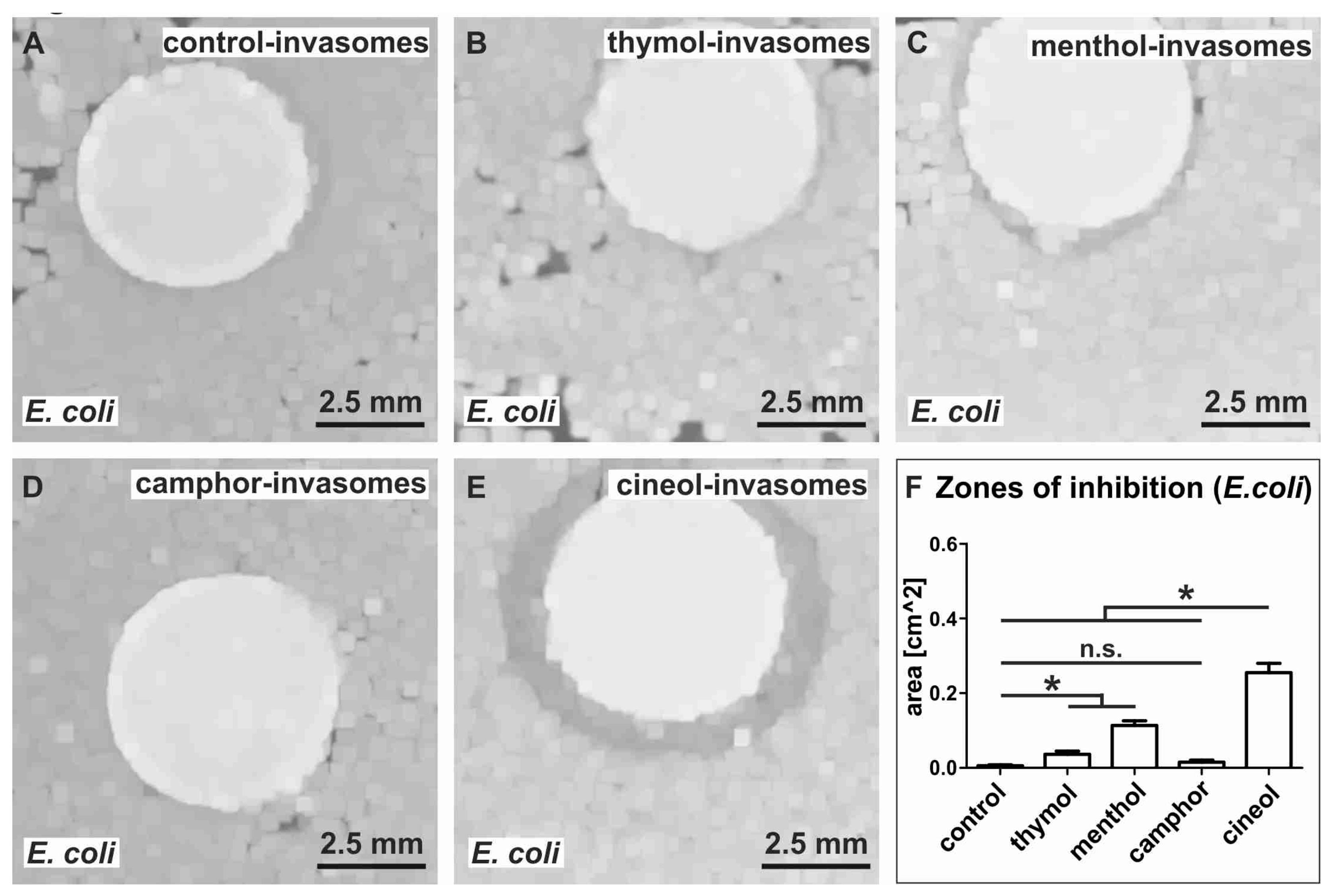 Biomedicines 08 00105 g010 Biomedicines 08 00105 g010