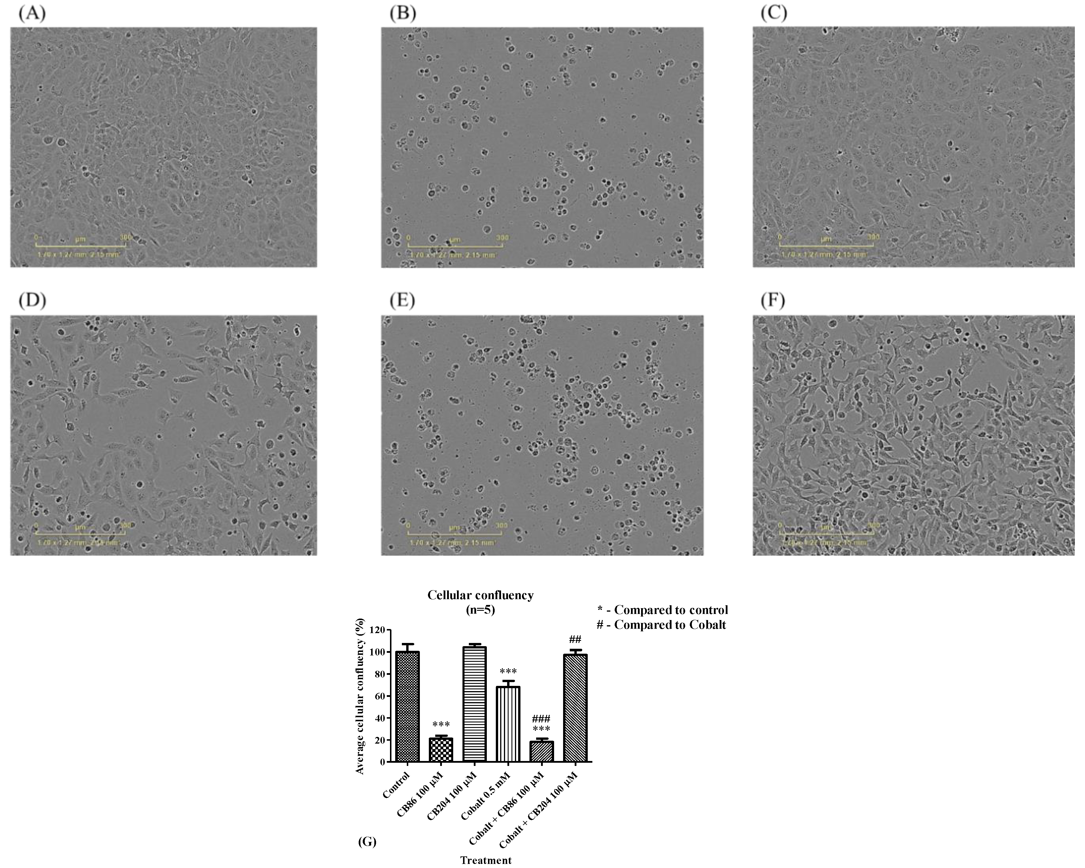 Biomedicines 08 00106 g008