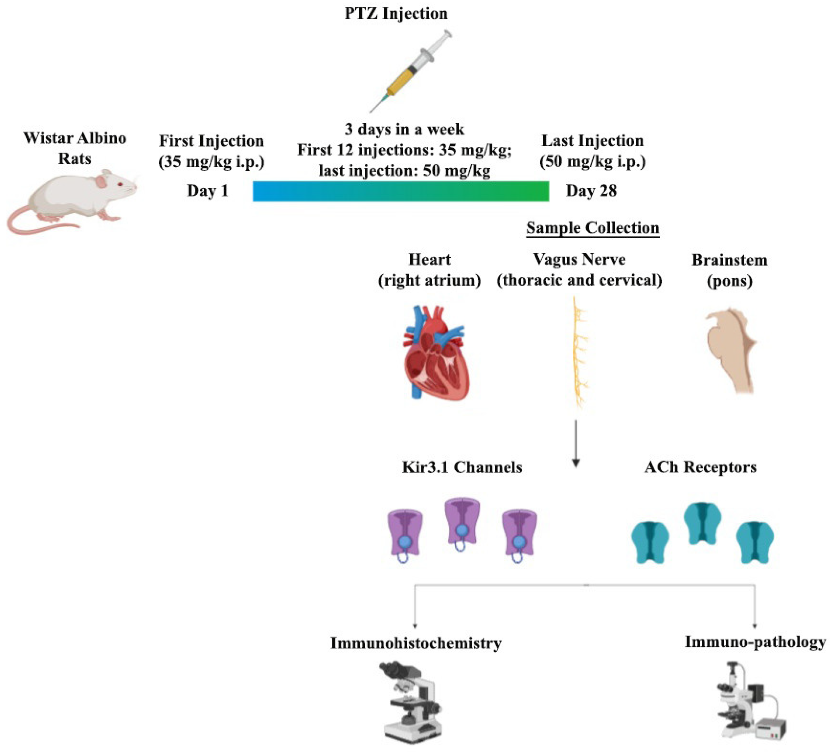 Biomedicines 08 00113 g001 Biomedicines 08 00113 g001