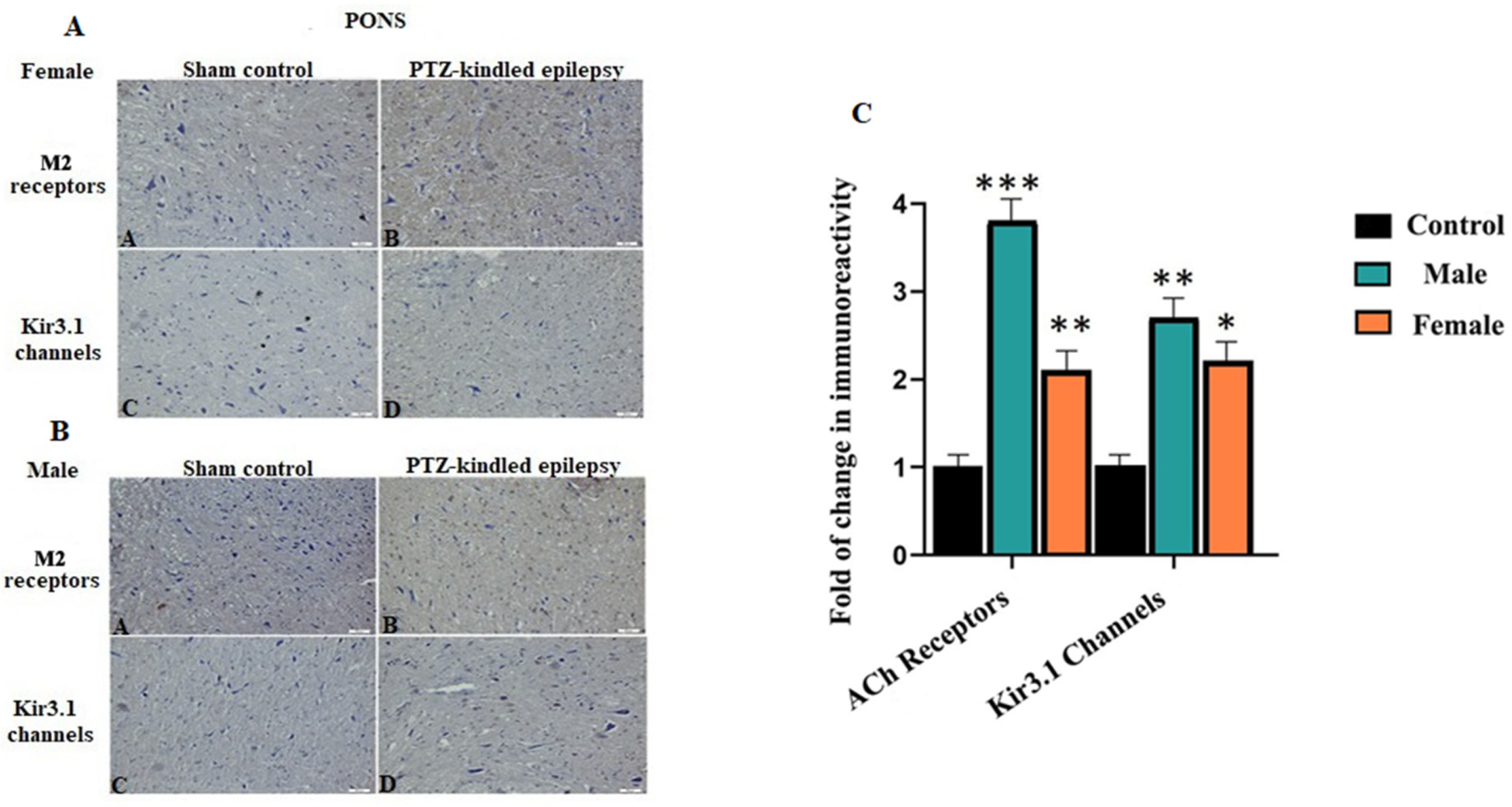 Biomedicines 08 00113 g005 Biomedicines 08 00113 g005