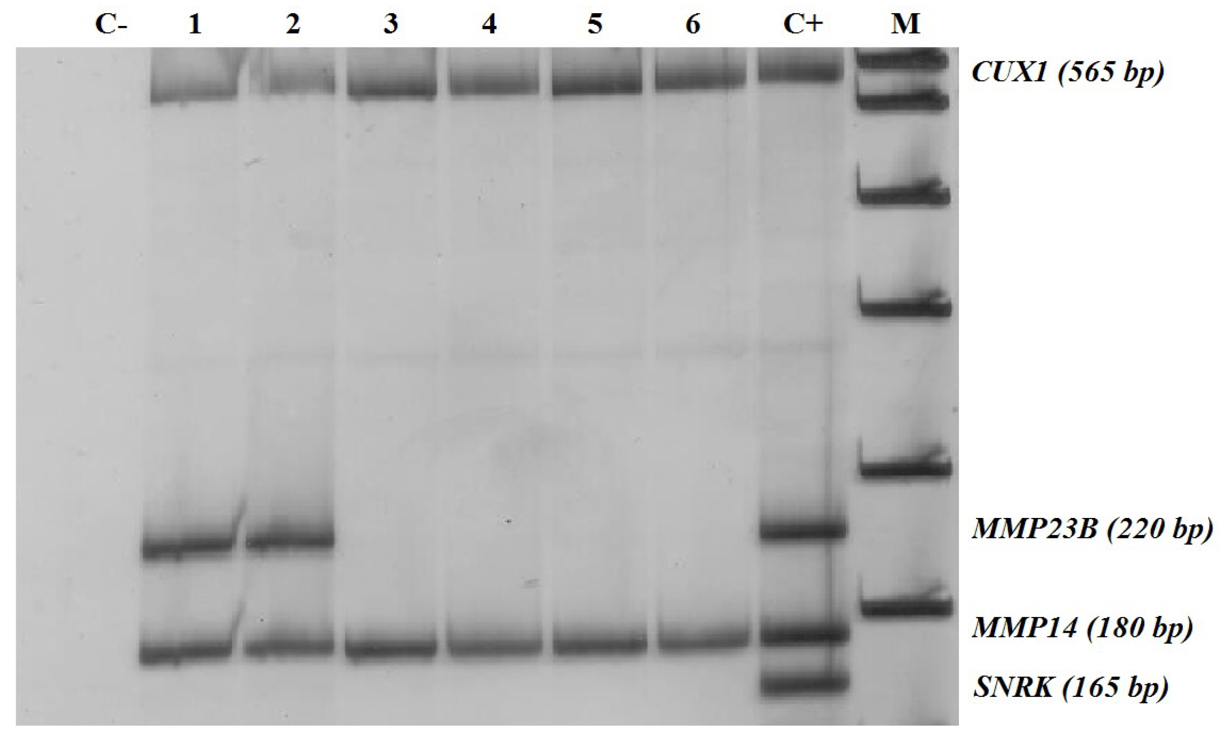 Biomedicines 08 00116 g001
