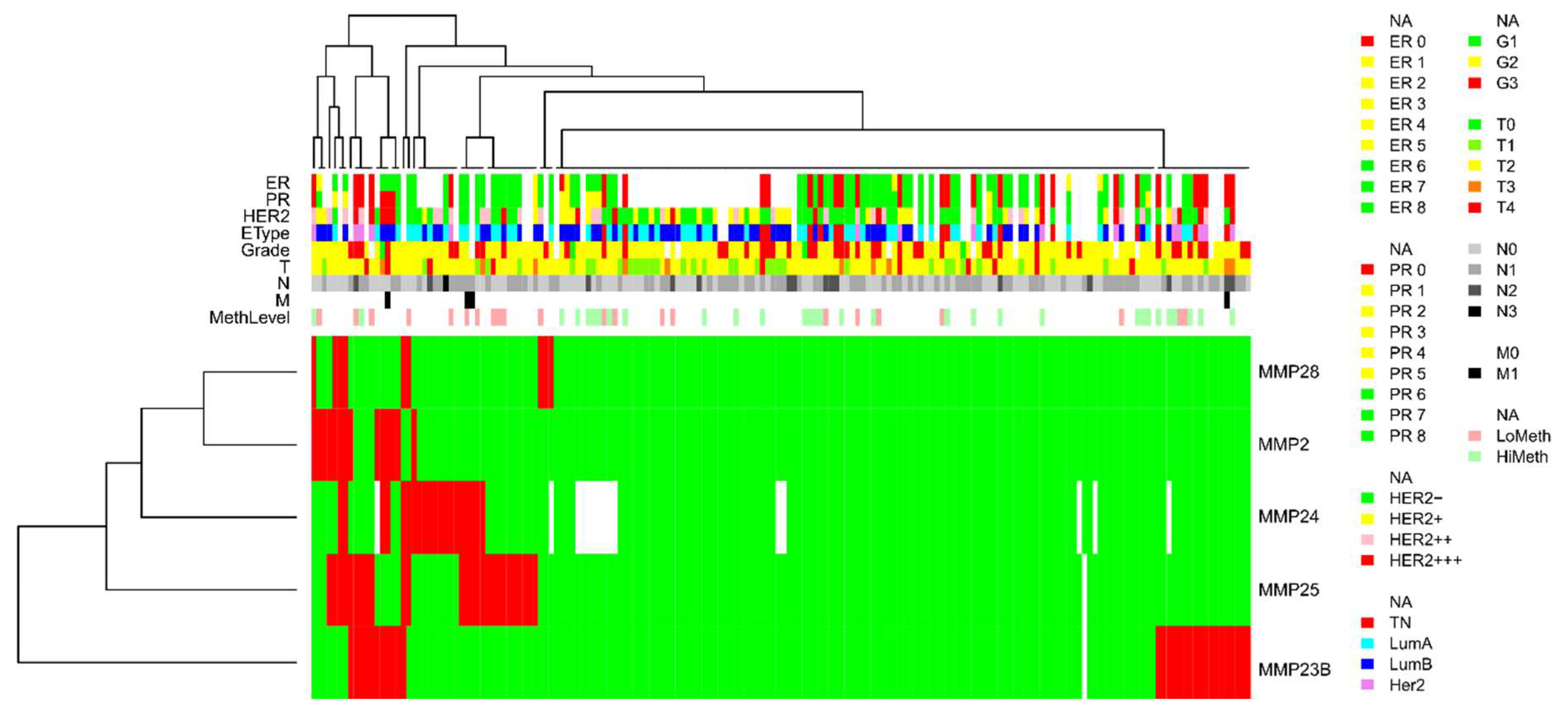 Biomedicines 08 00116 g005