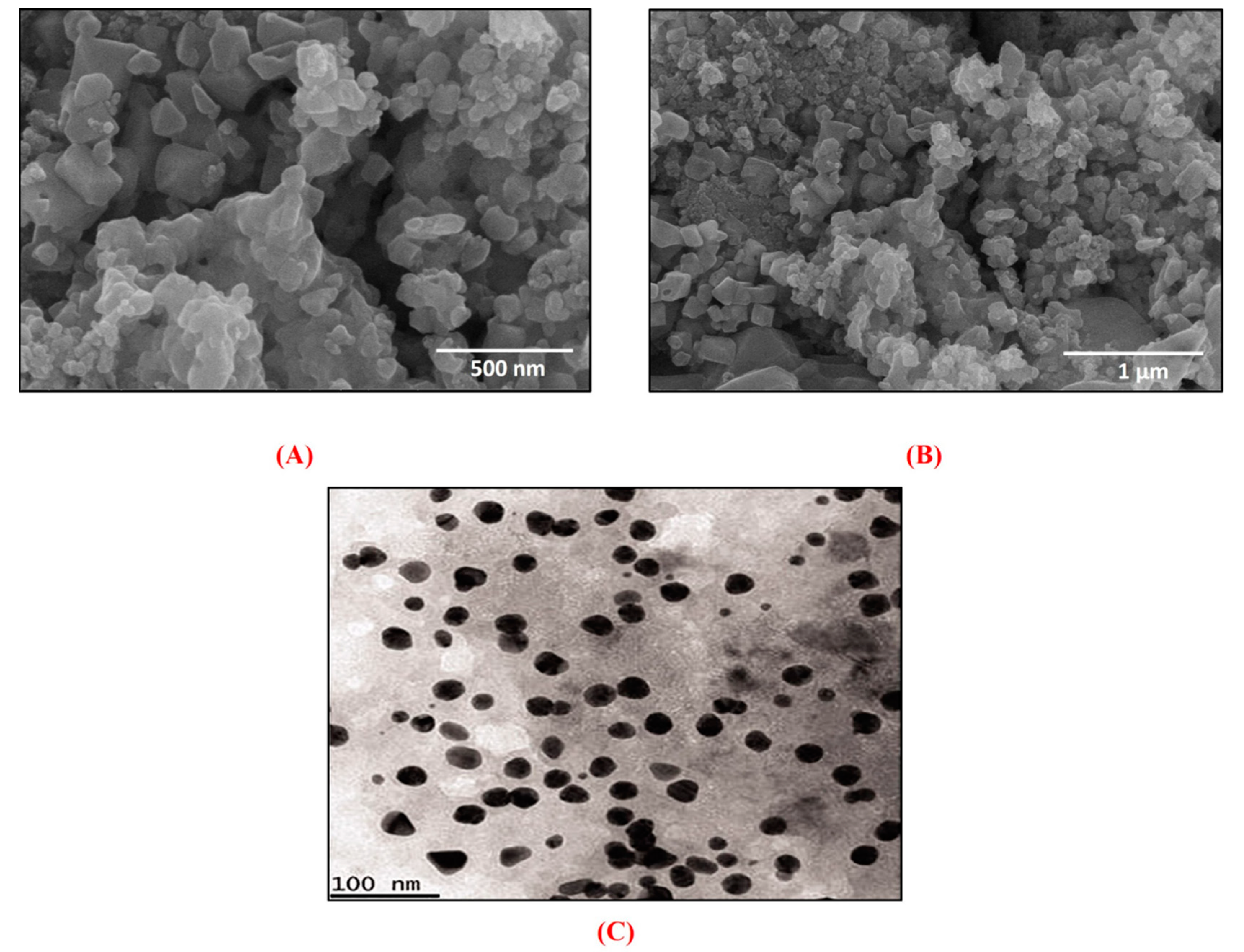 Biomedicines 08 00117 g005