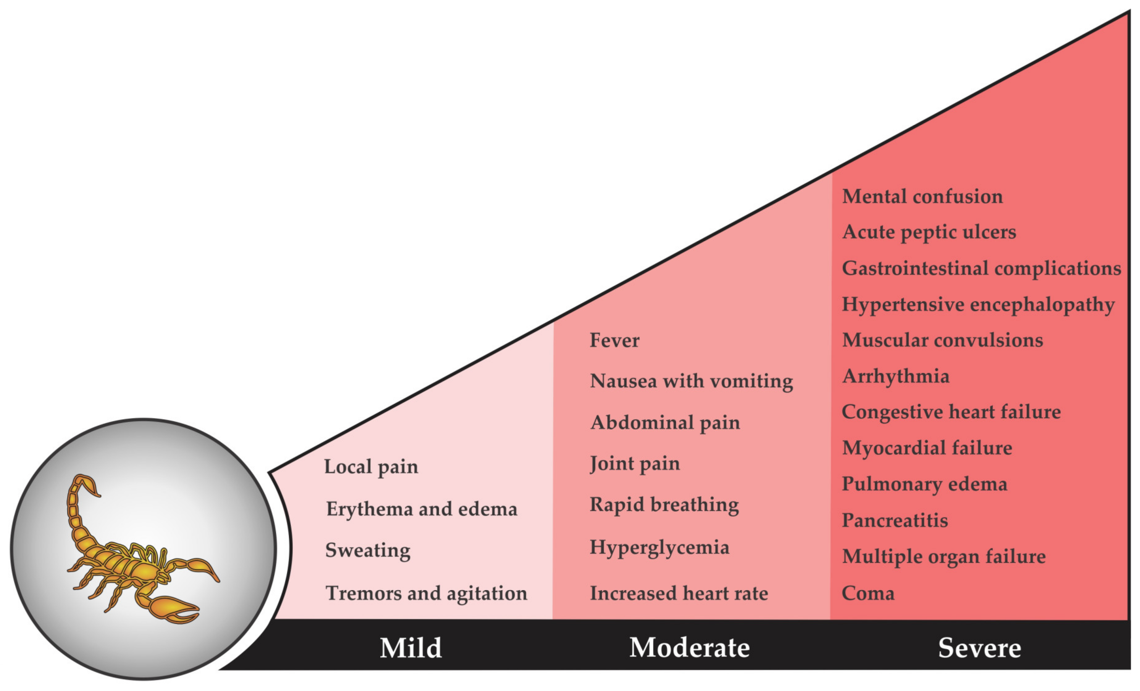 Does Size Matter? The Science of Scorpion Stings - MDPI Blog