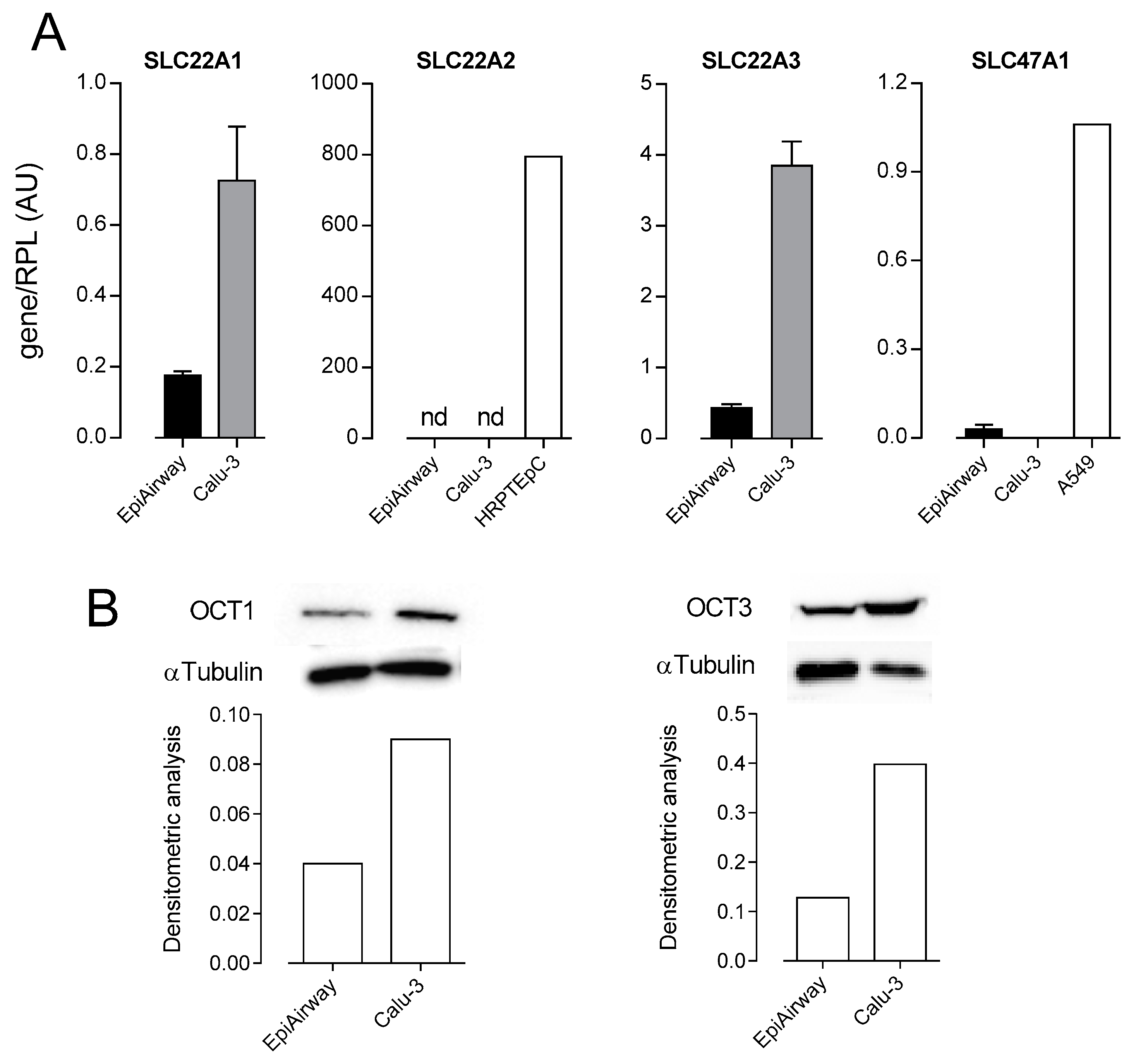 Biomedicines 08 00127 g002 Biomedicines 08 00127 g002
