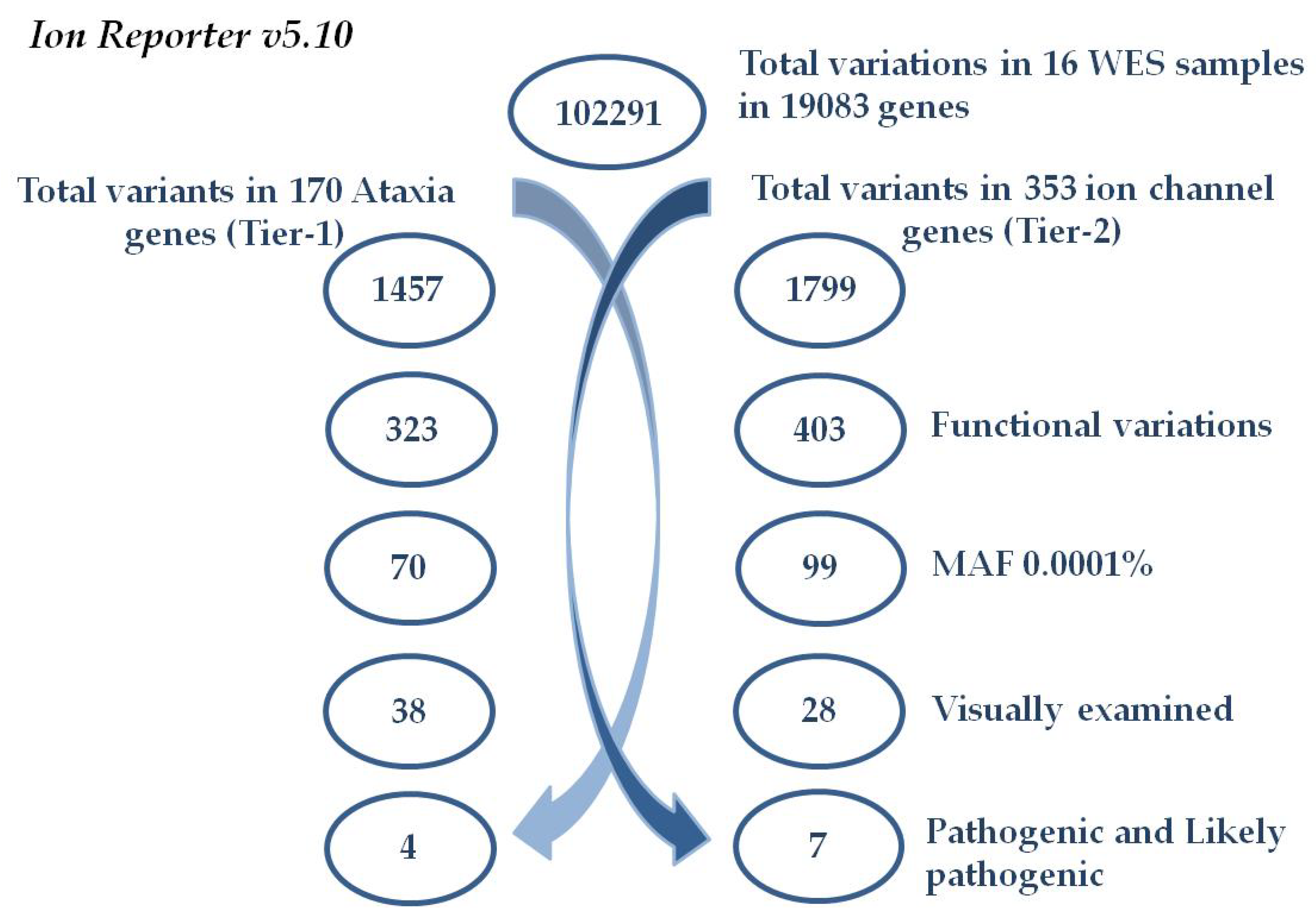 Biomedicines 08 00134 g001