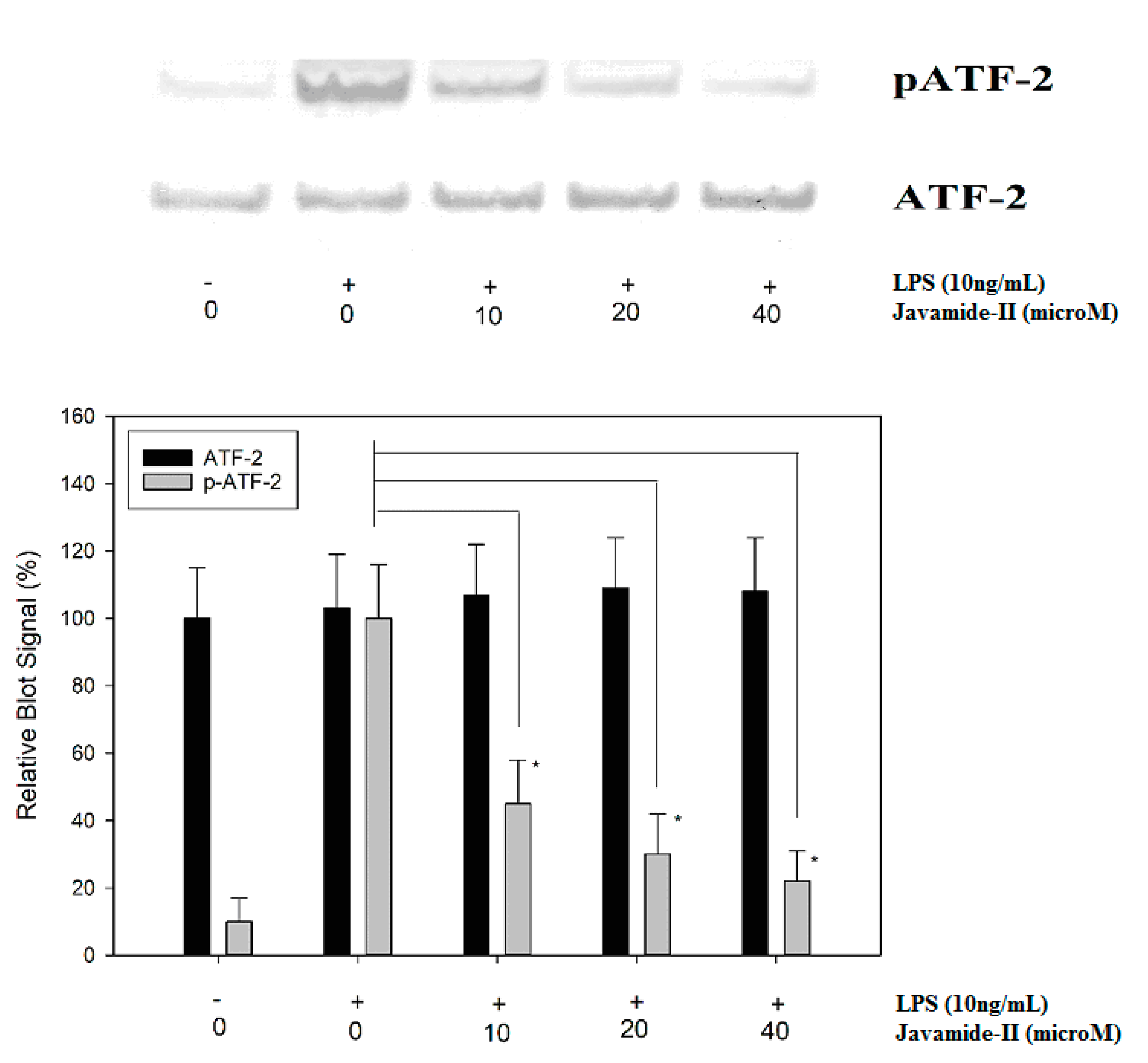 Biomedicines 08 00138 g005