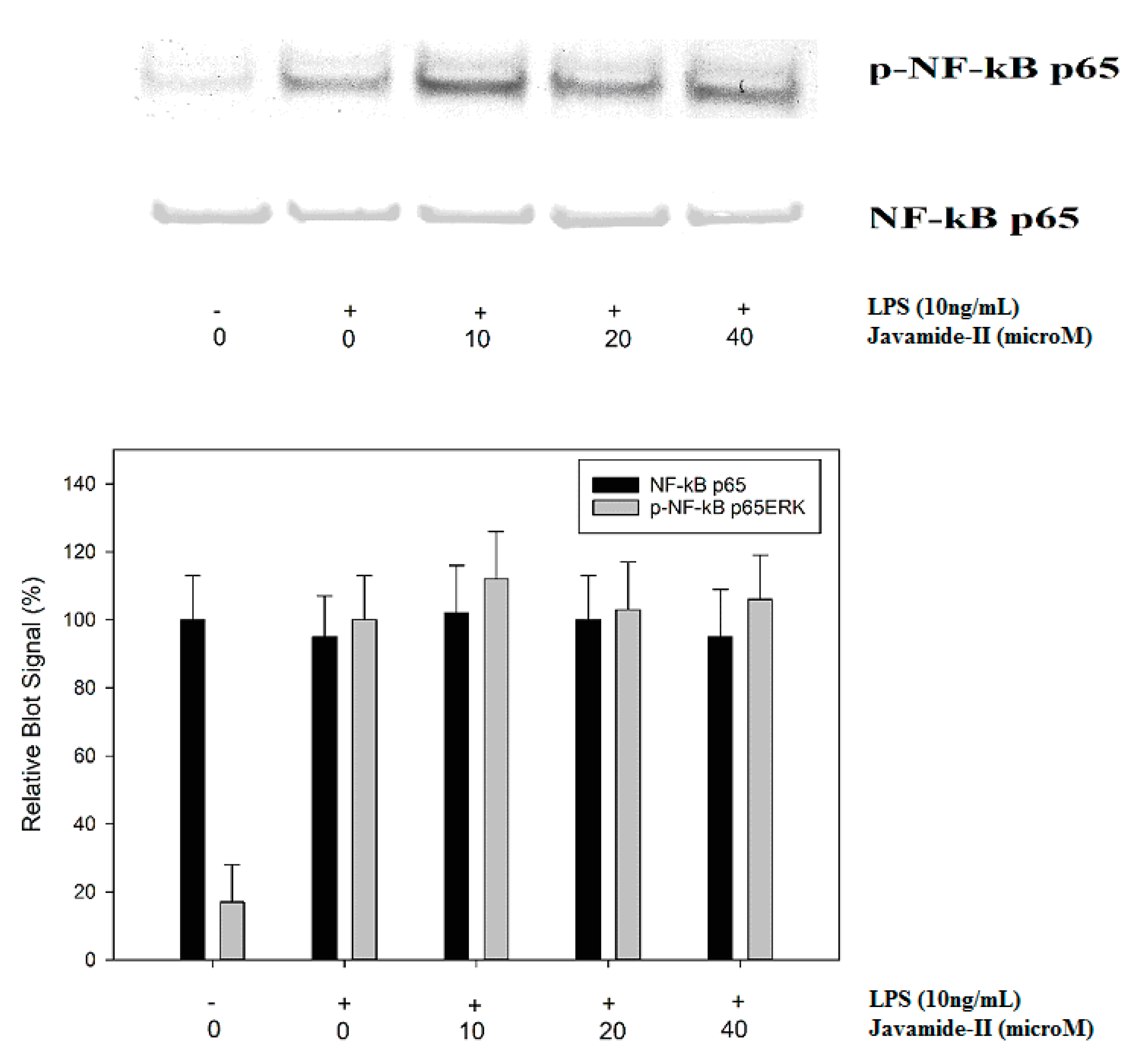 Biomedicines 08 00138 g006