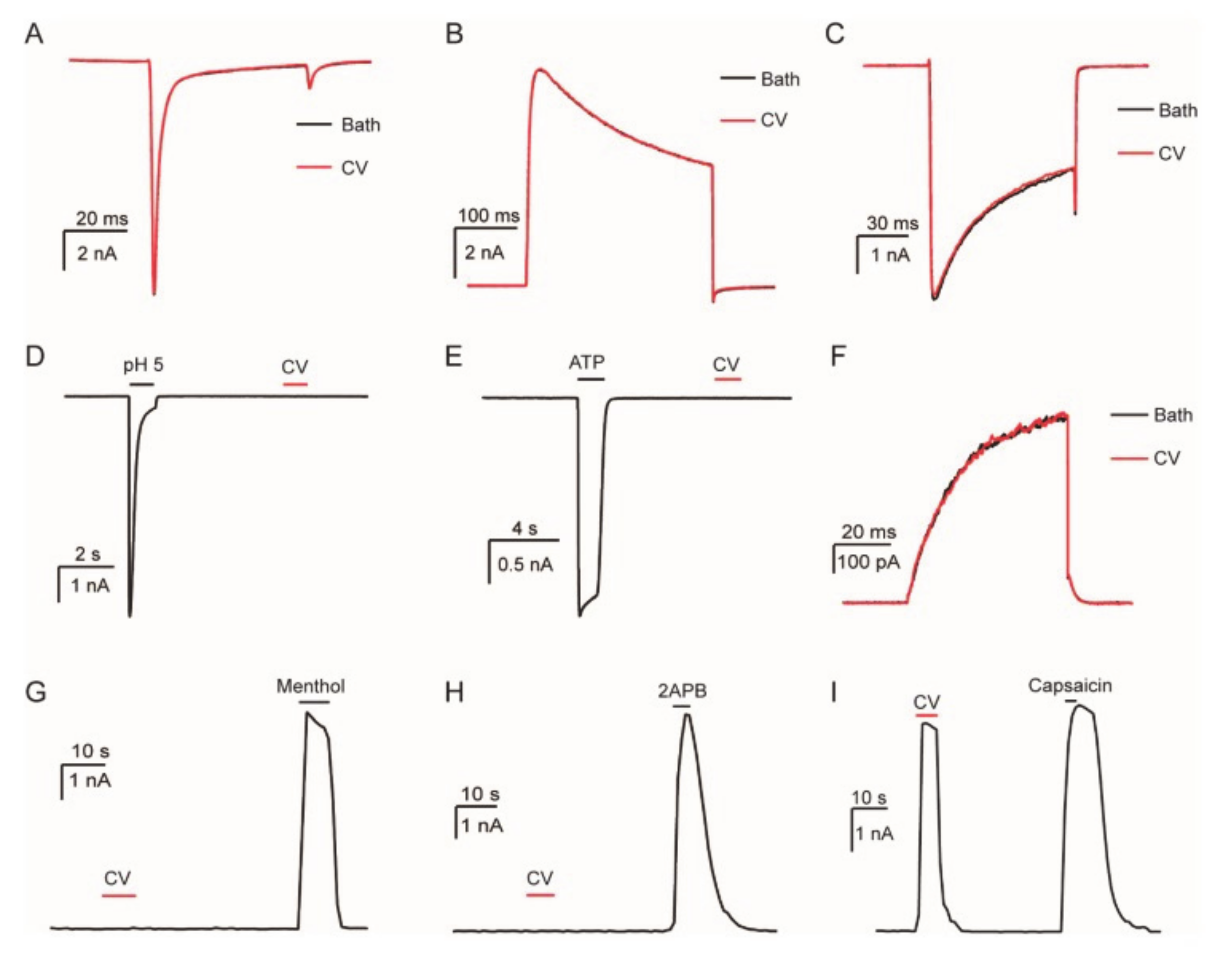 Biomedicines 08 00143 g005 Biomedicines 08 00143 g005