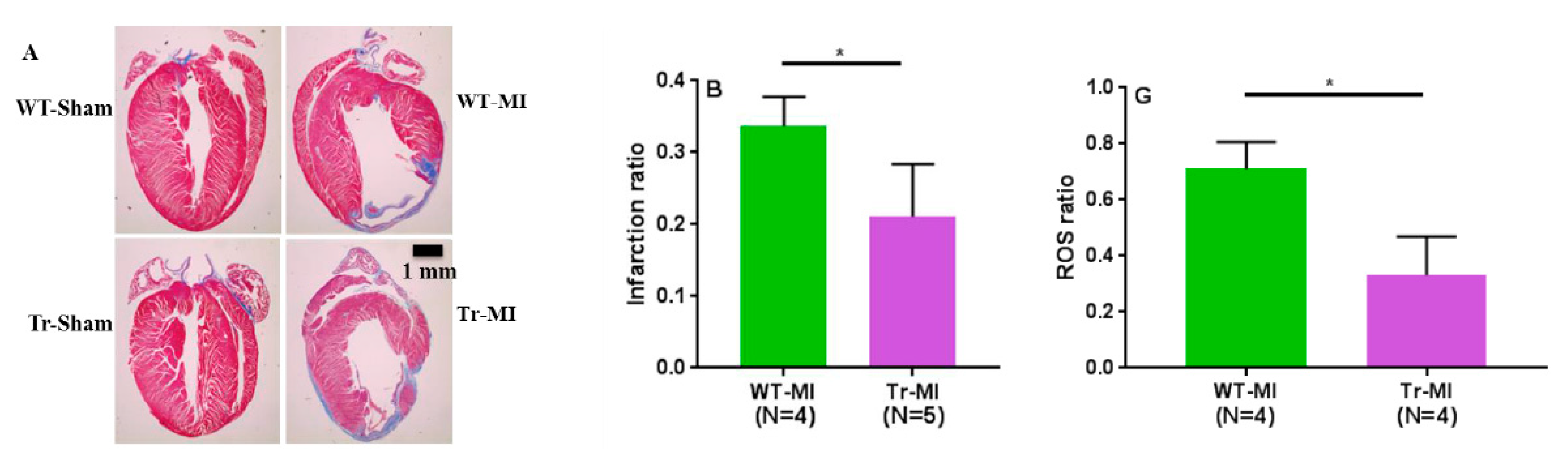 Biomedicines 08 00144 g007a Biomedicines 08 00144 g007a