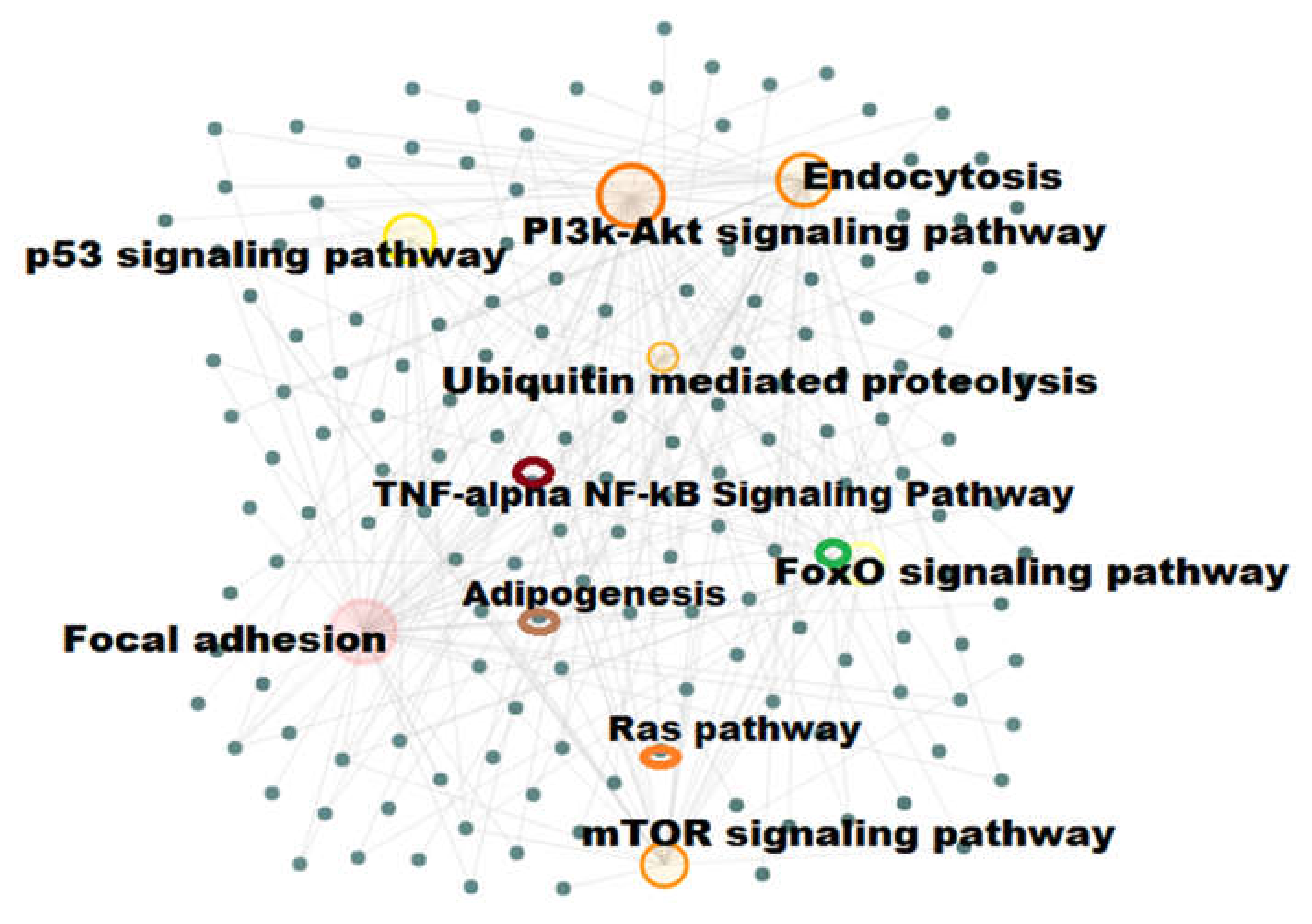 Biomedicines 08 00147 g003 Biomedicines 08 00147 g003